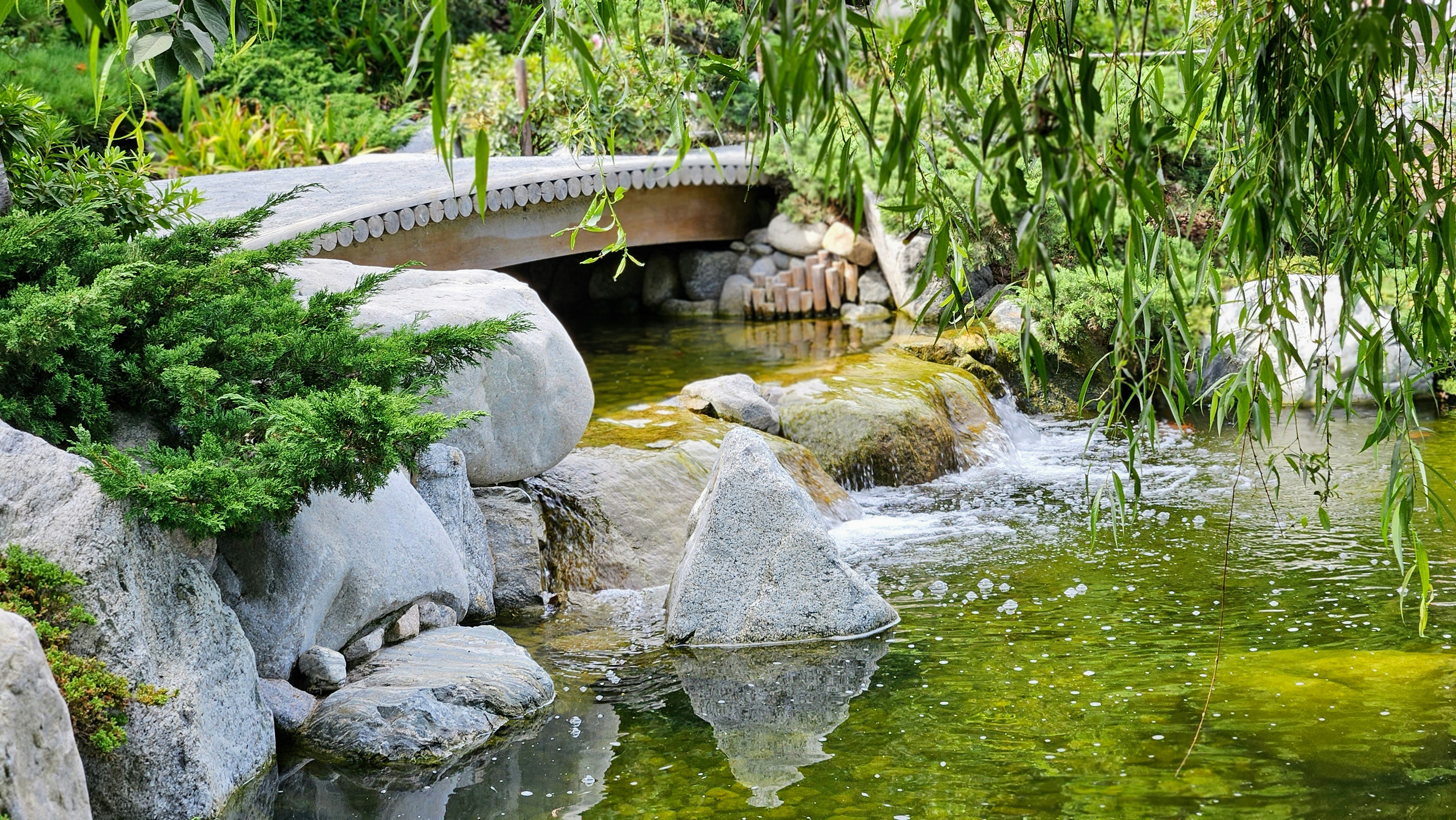 Photo by mattarnster