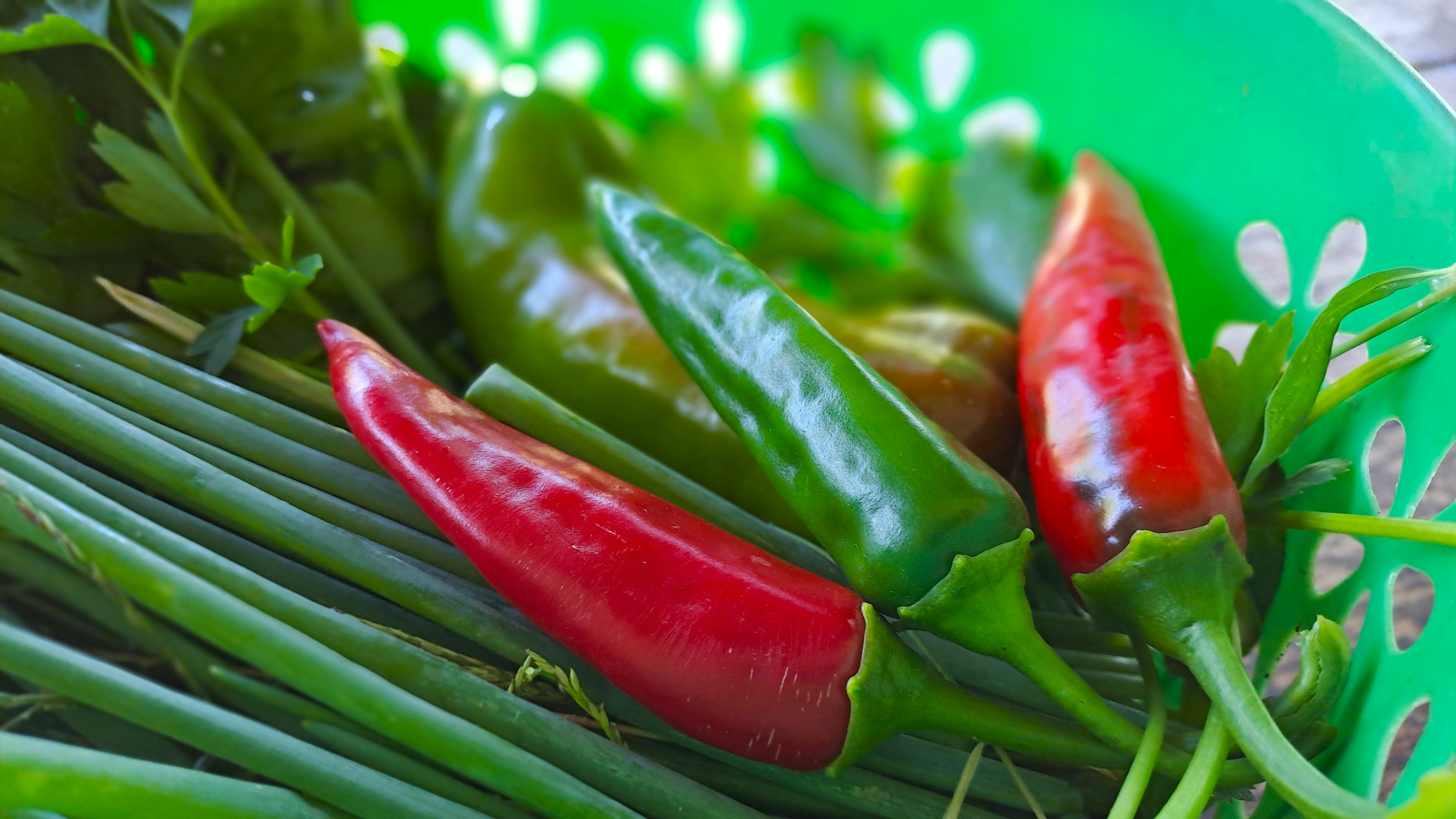 A green bowl filled with green beans and red peppers