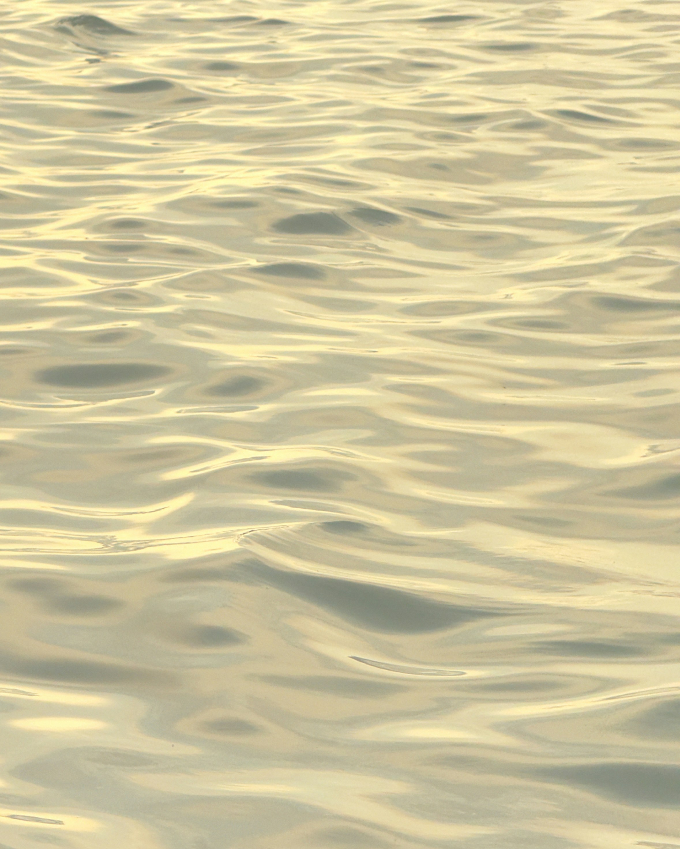 Un pájaro volando sobre un cuerpo de agua