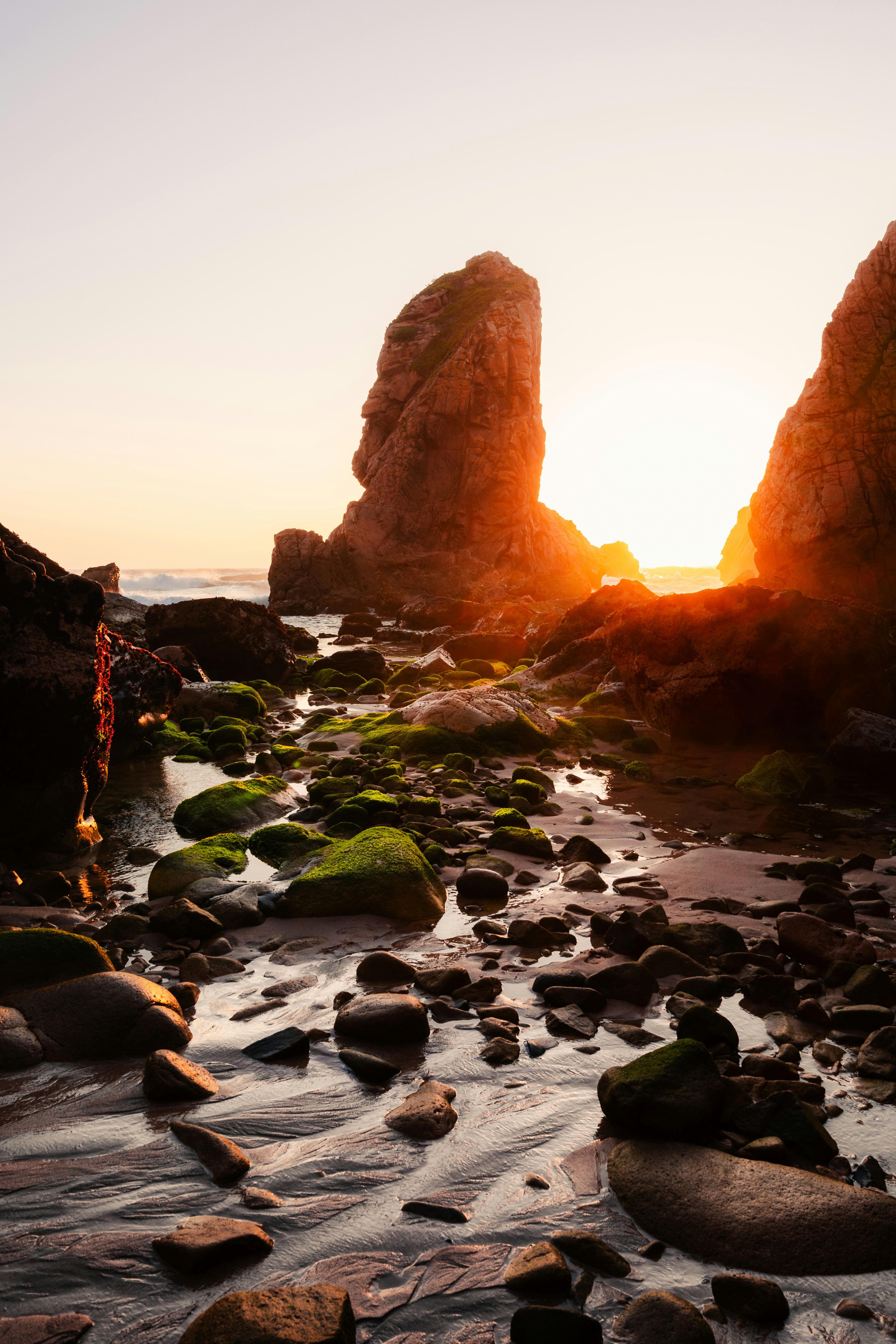 Photo by tiago_f_ferreira