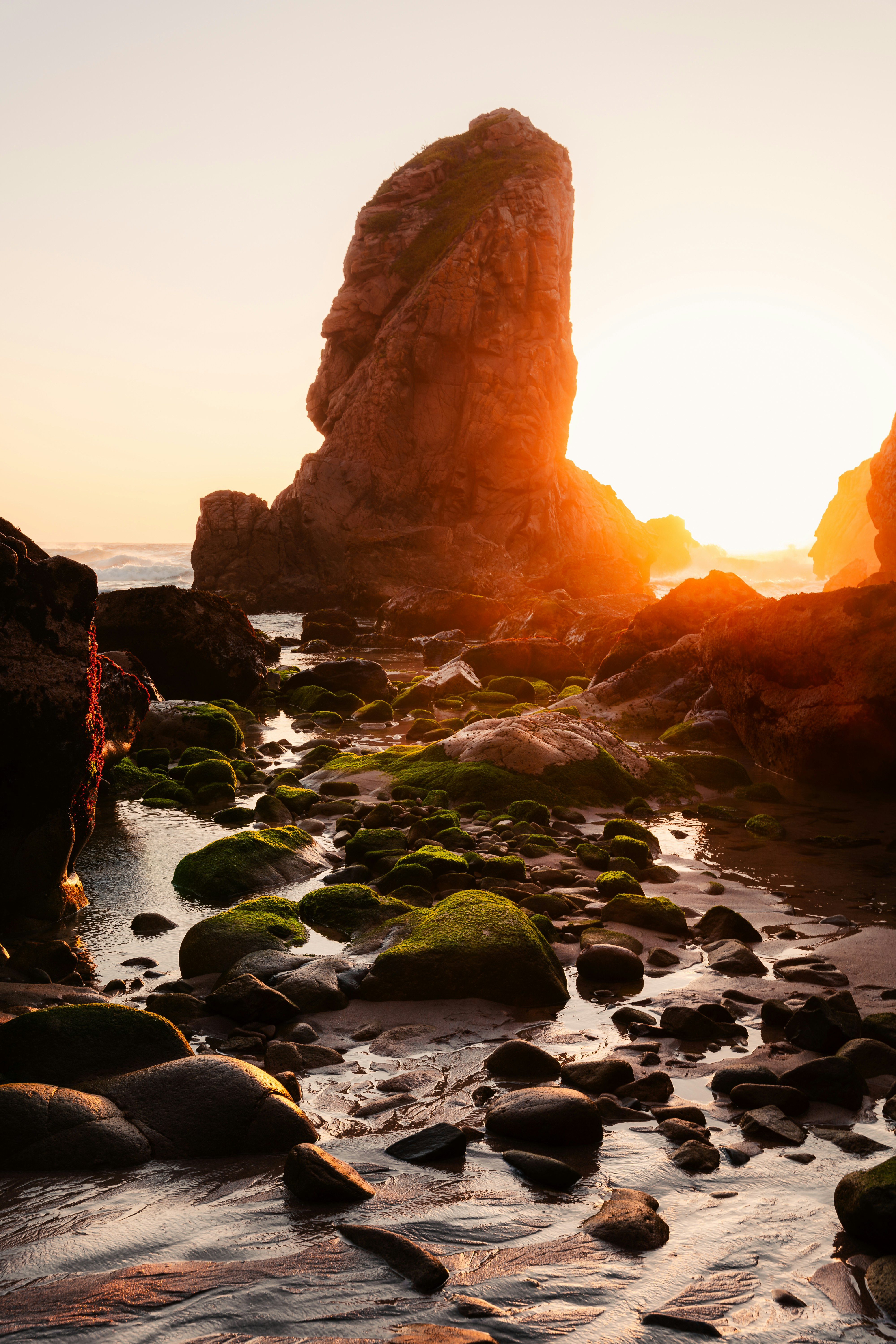 Photo by tiago_f_ferreira