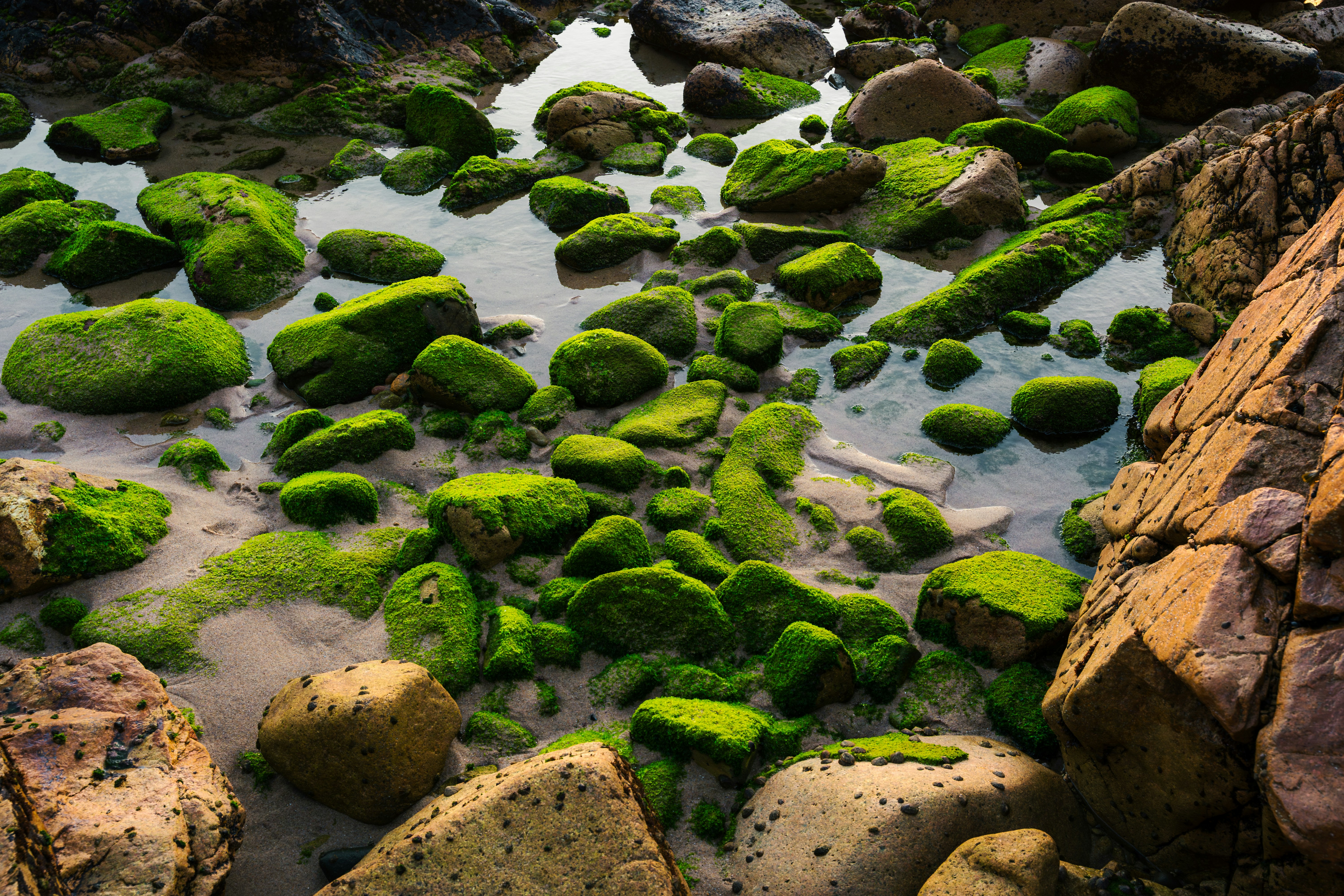 Photo by tiago_f_ferreira