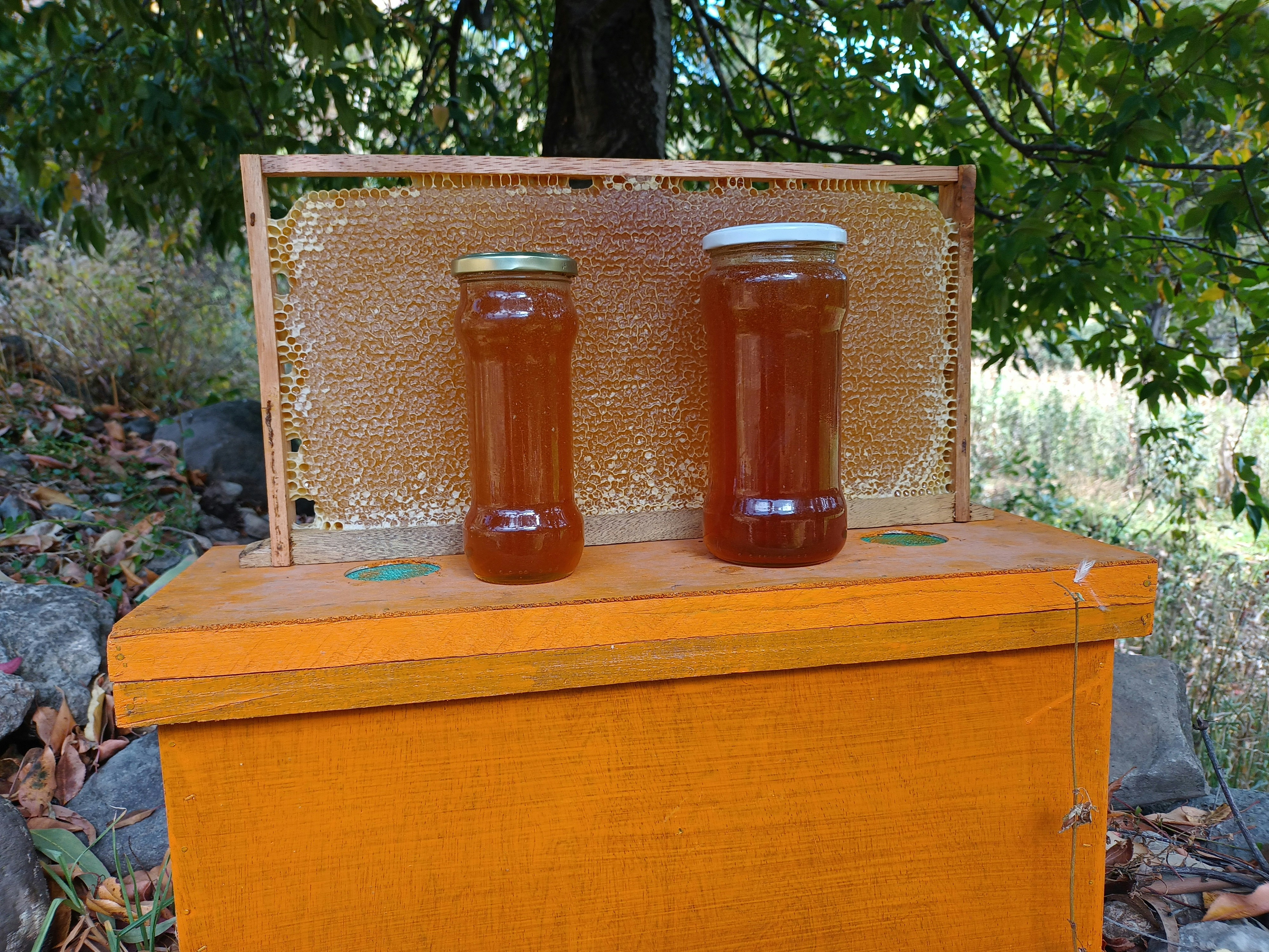Golden honey in glass jars with honeycomb on a warm wooden surface, bright natural daylight, rich amber tones