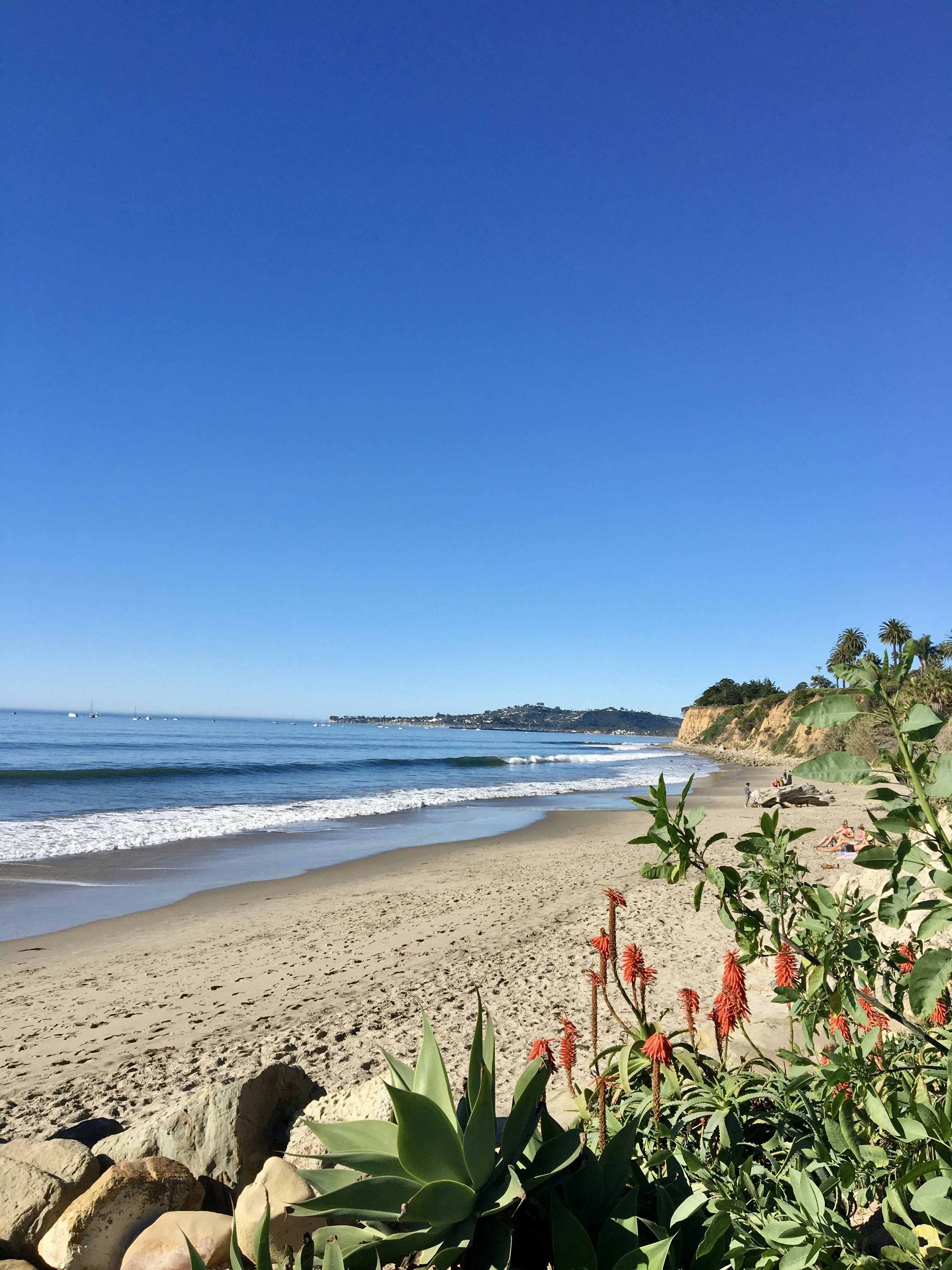 Una vista di una spiaggia e dell'oceano da lontano