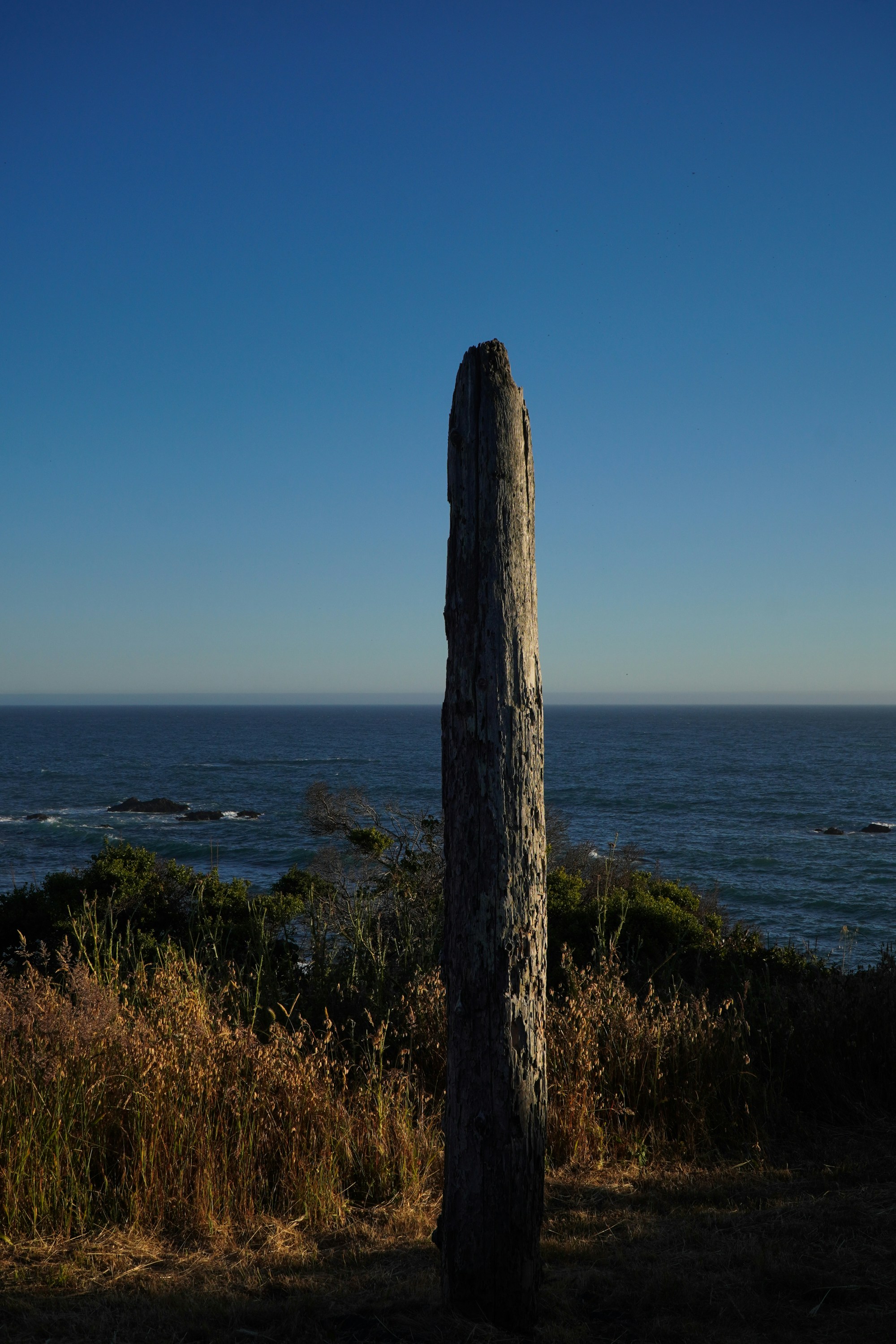 Photo by joeldurkee