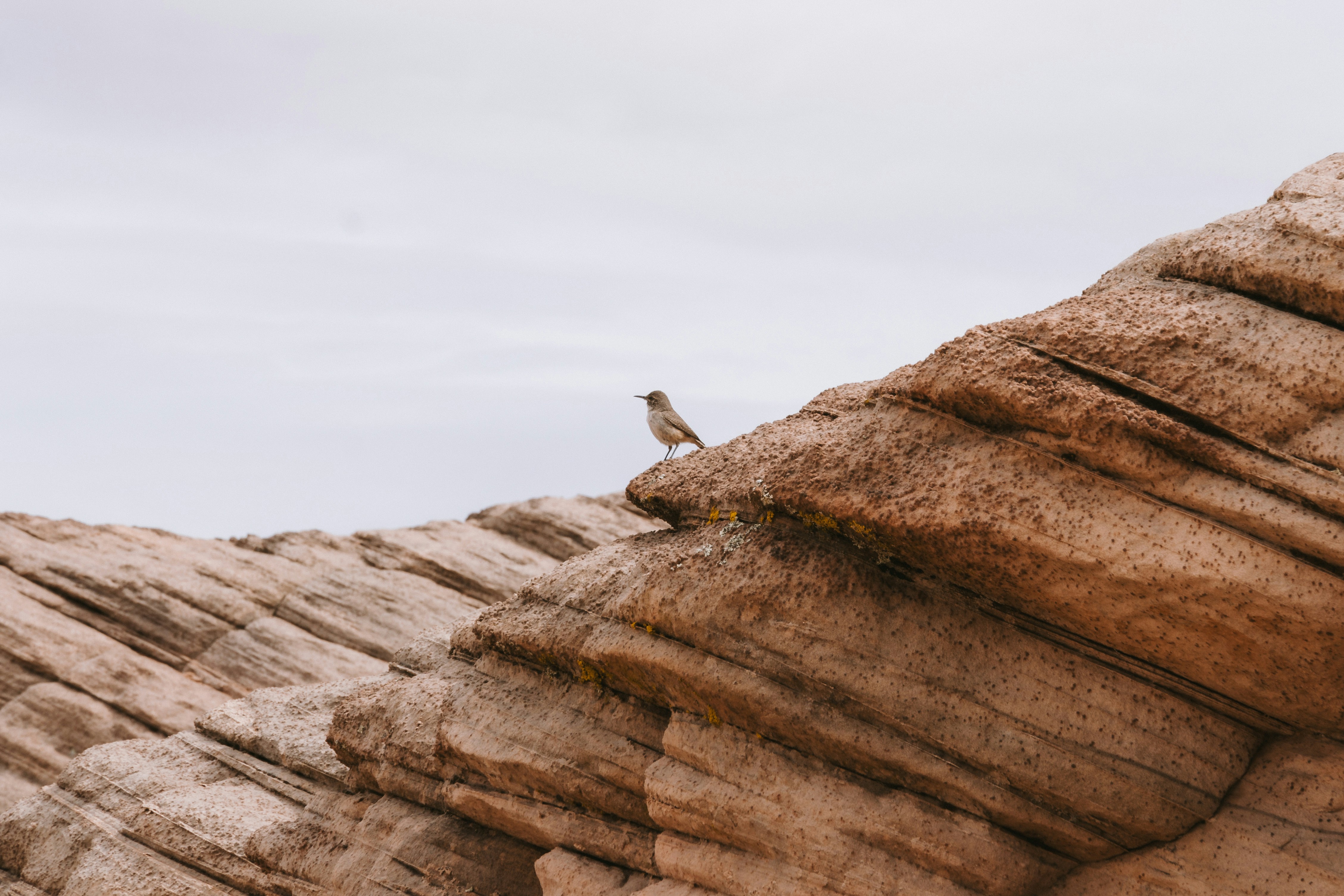 Photo by jaspergribble