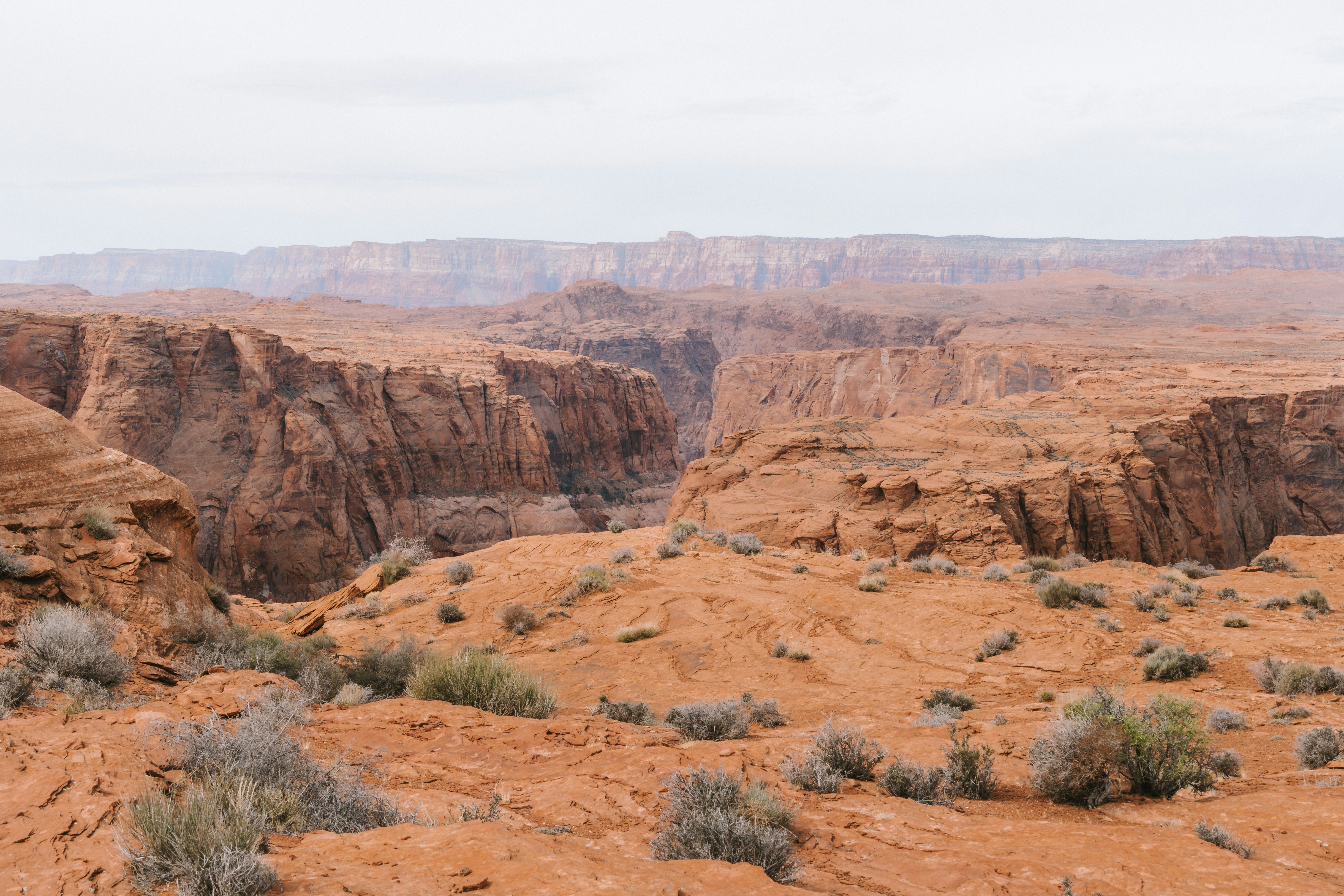 Photo by jaspergribble