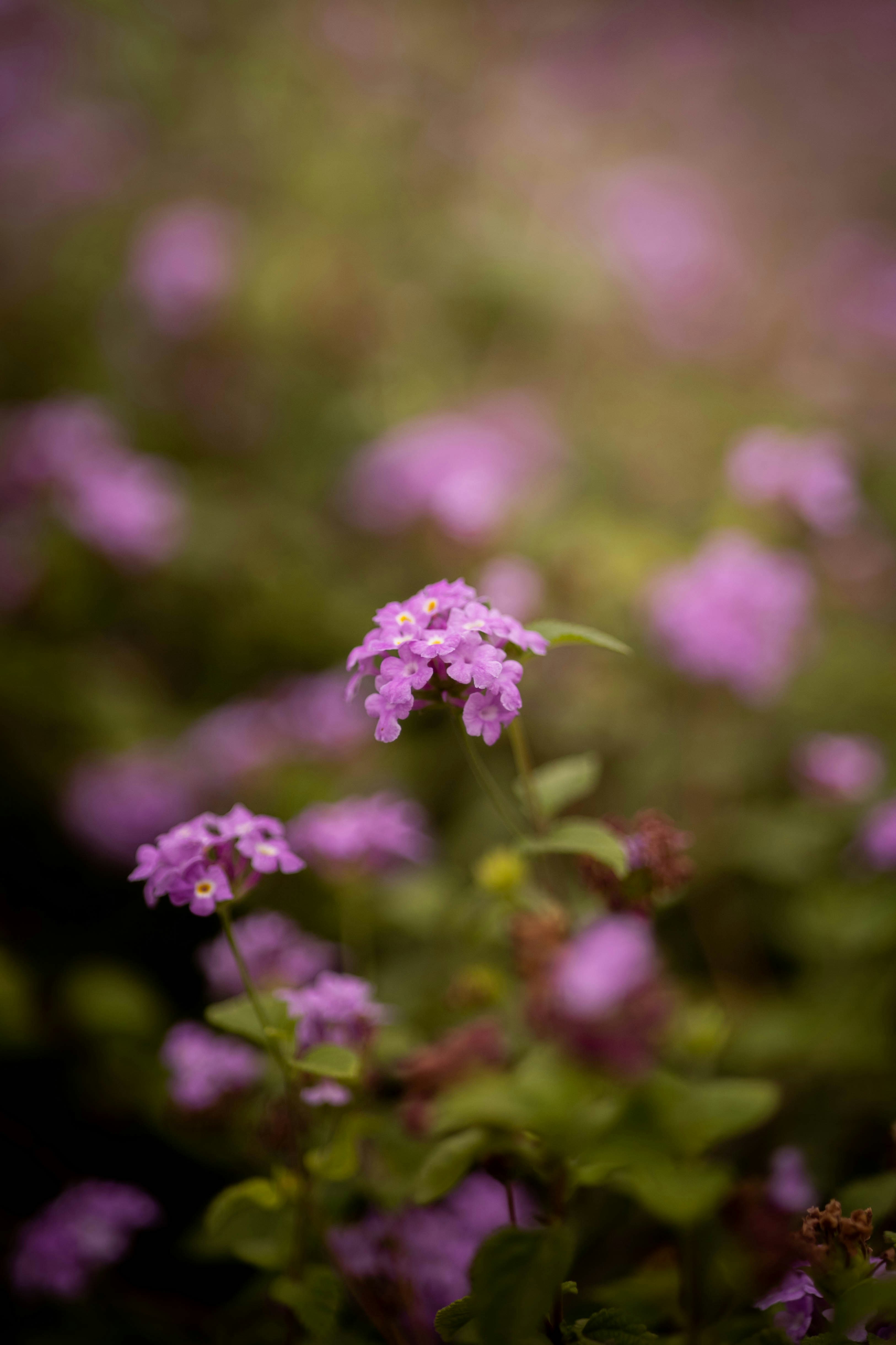 Photo by guille_velard