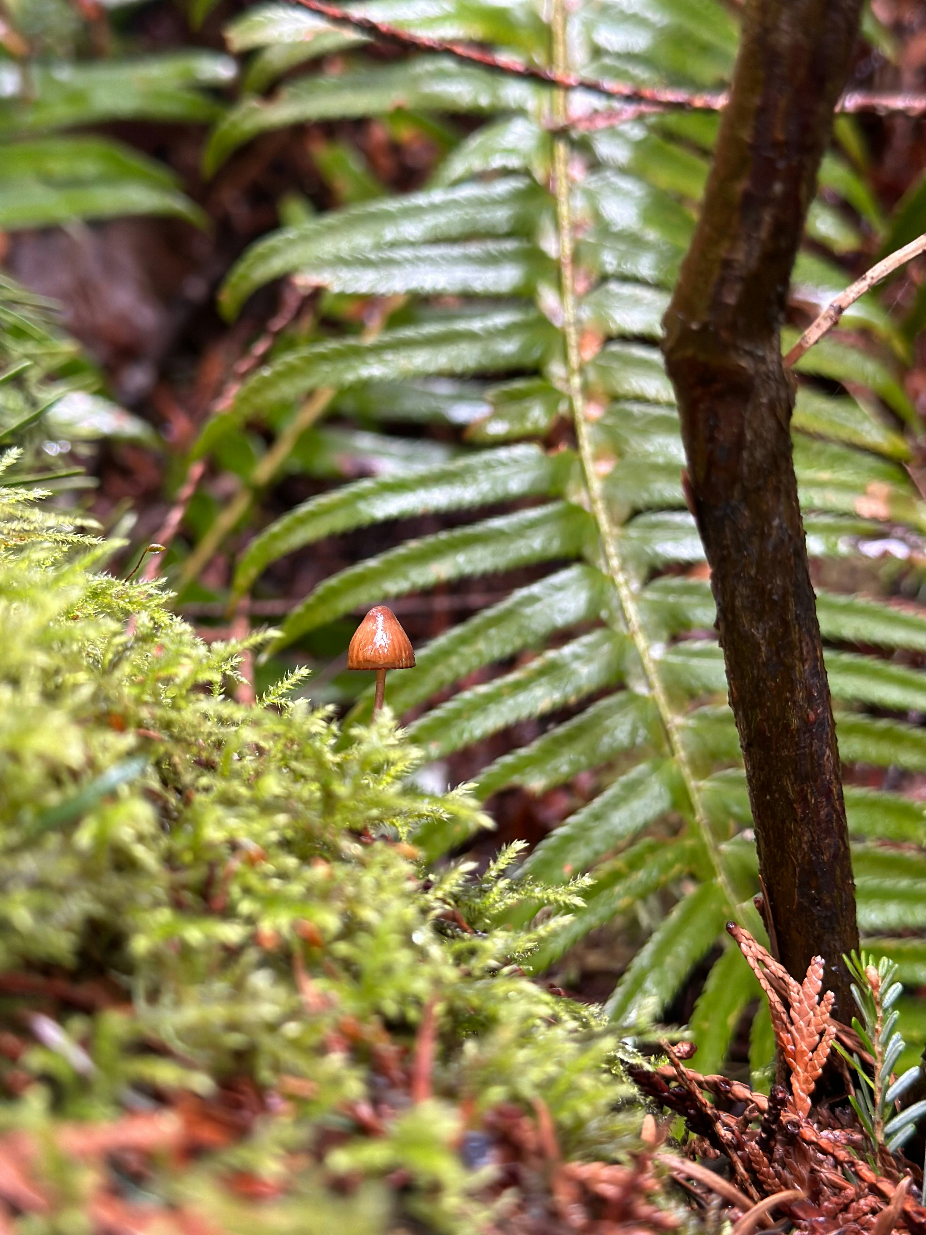 Photo by hazliey_132