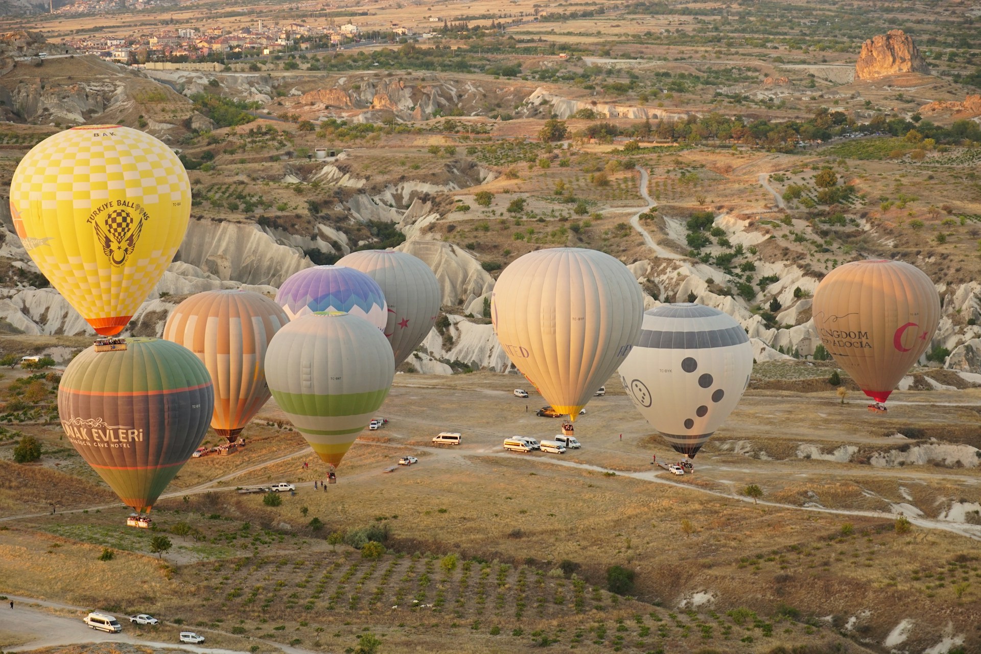 A number of hot air balloons flying in the sky