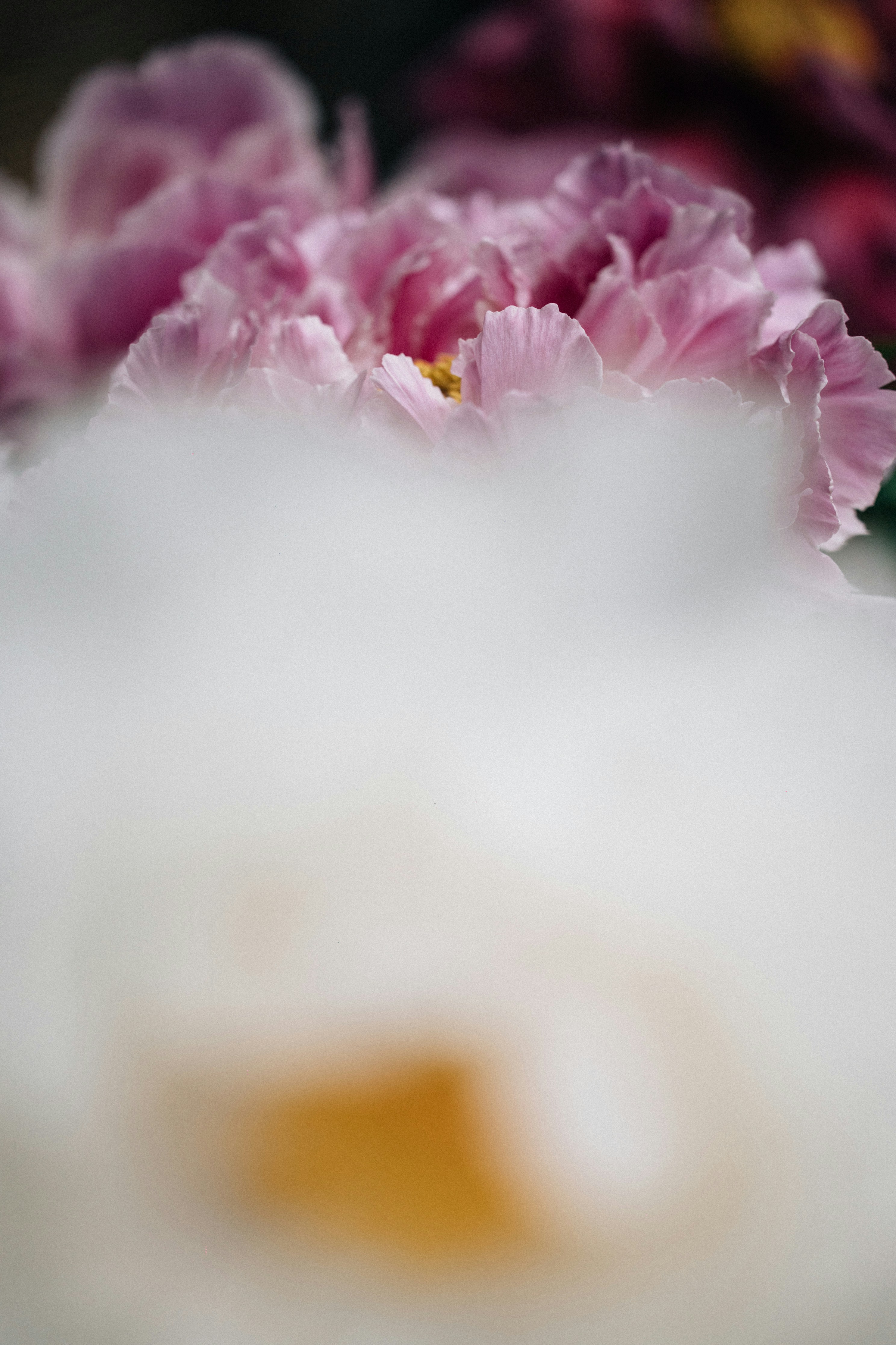 Photo by tsuyoshikozu