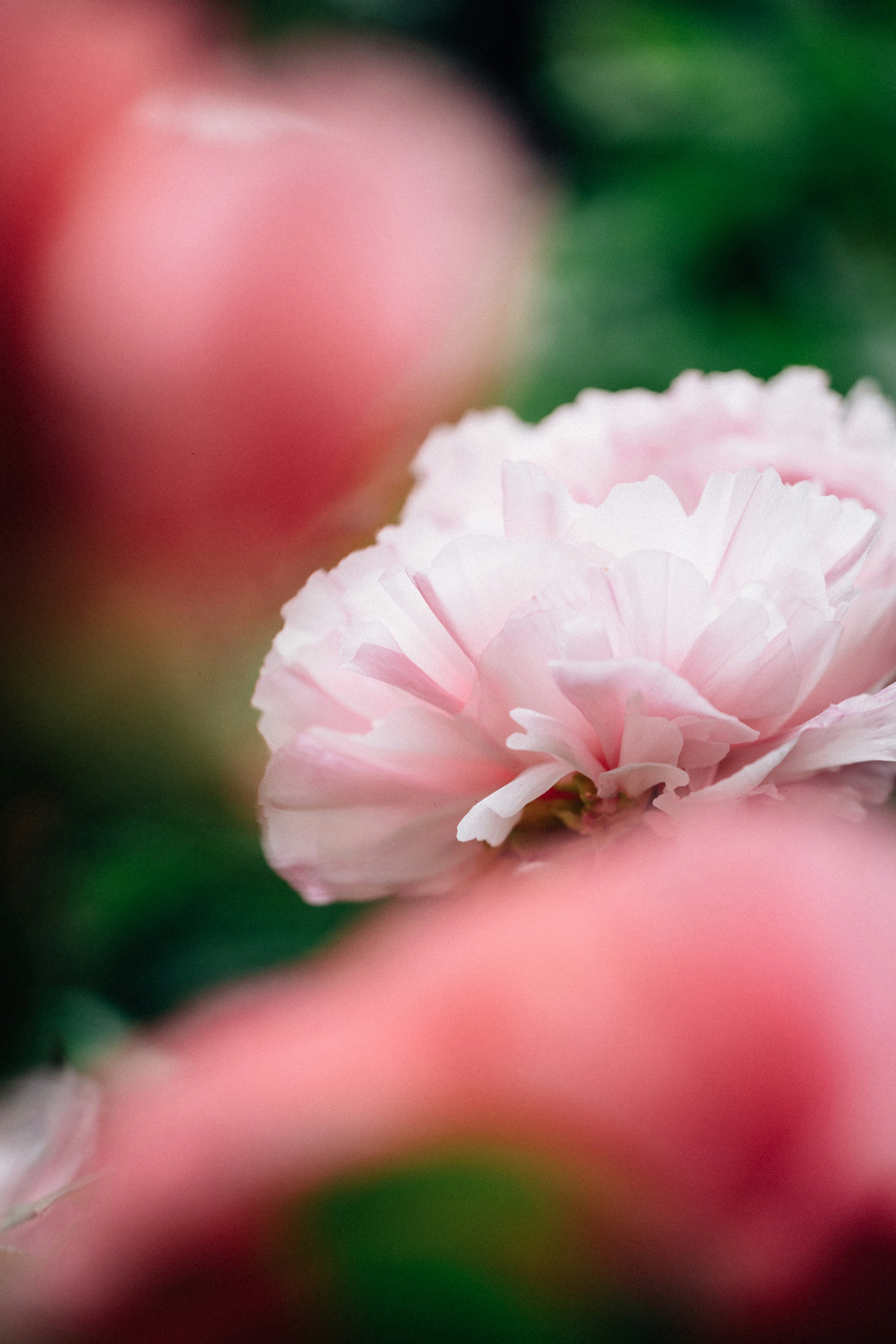 Photo by tsuyoshikozu