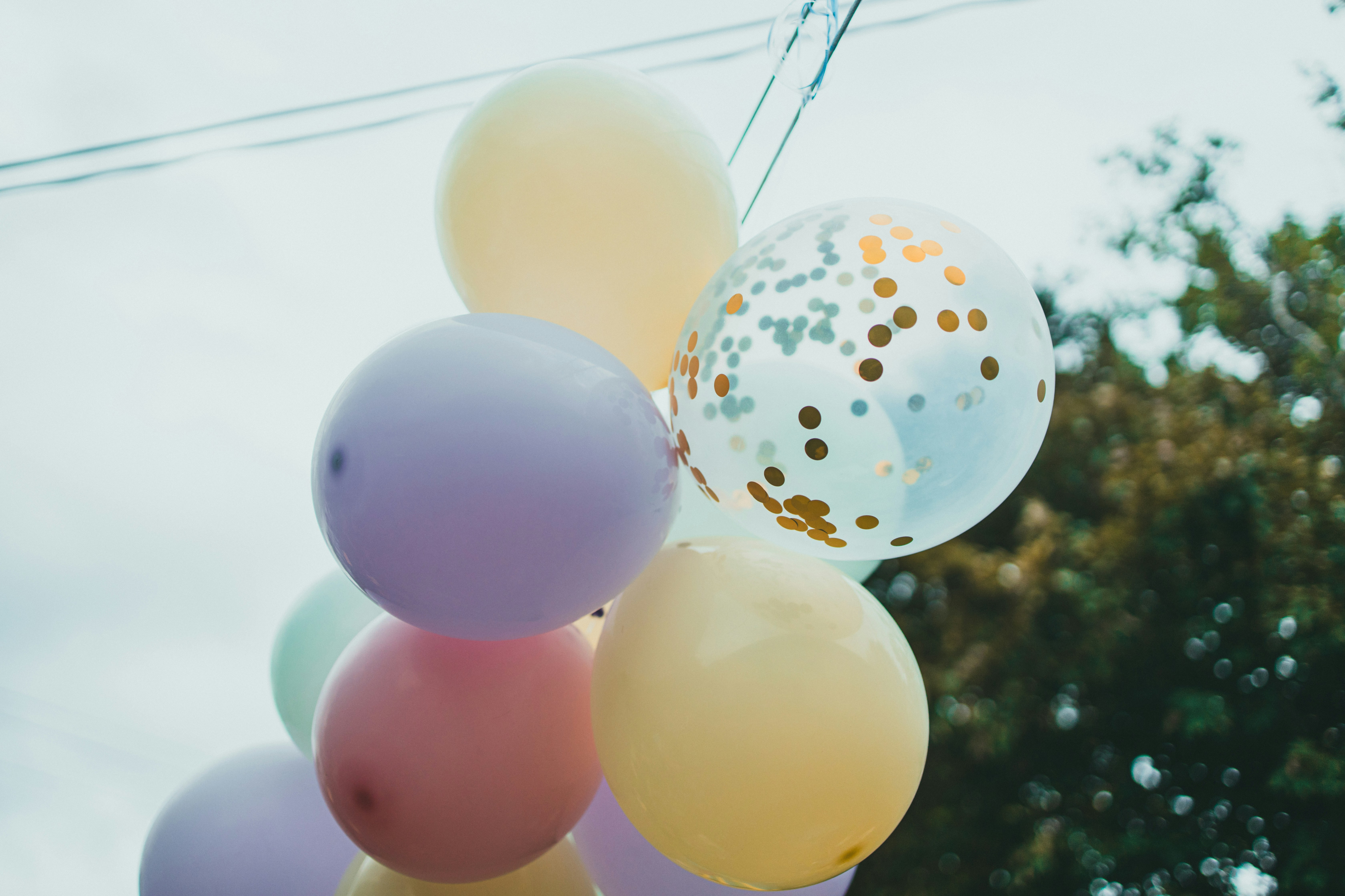 Photo by theshuttervision