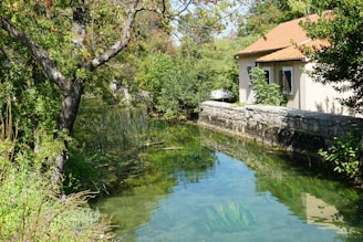 Lakefront Villa