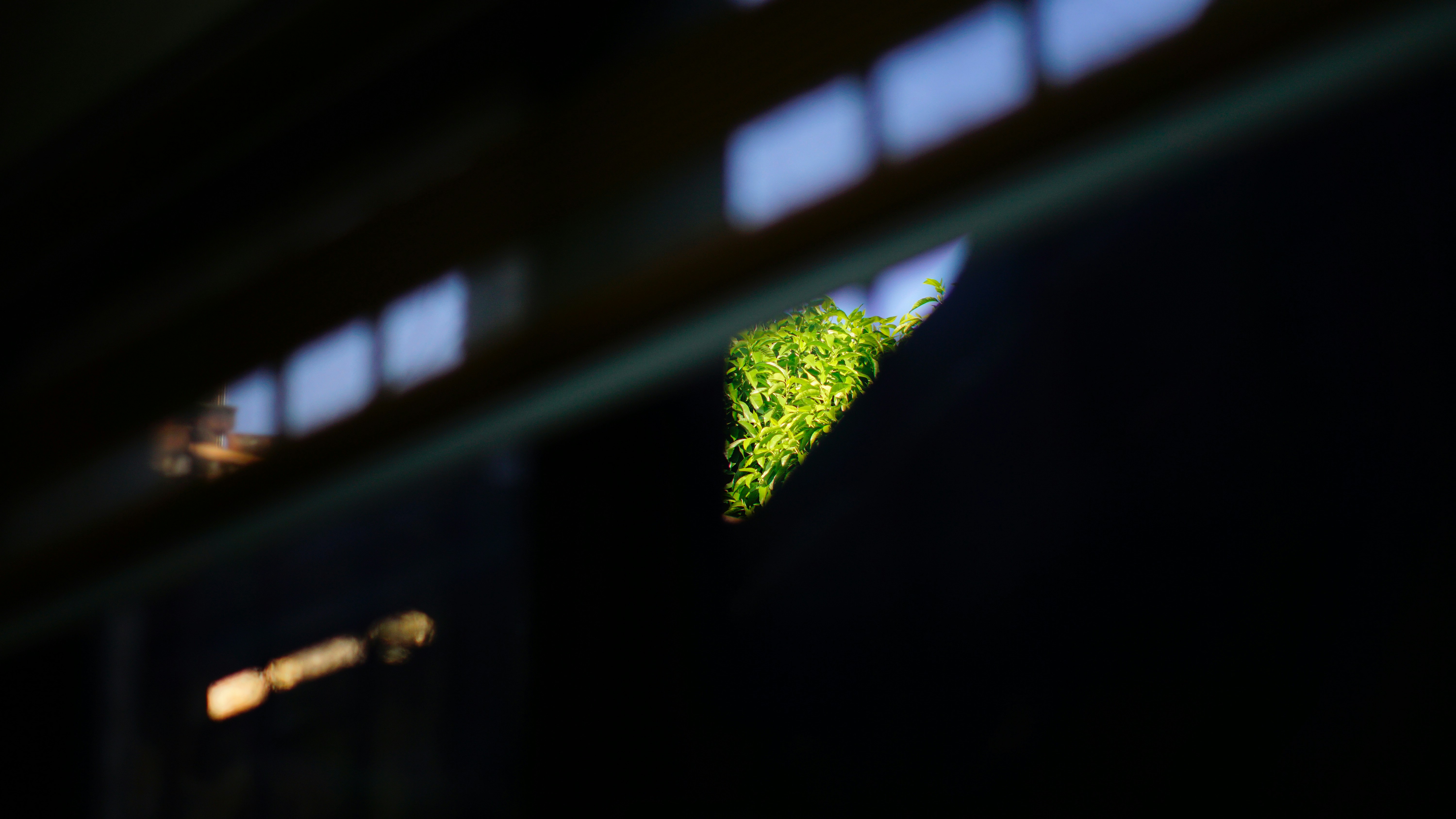 A blurry picture of a green tree in the dark