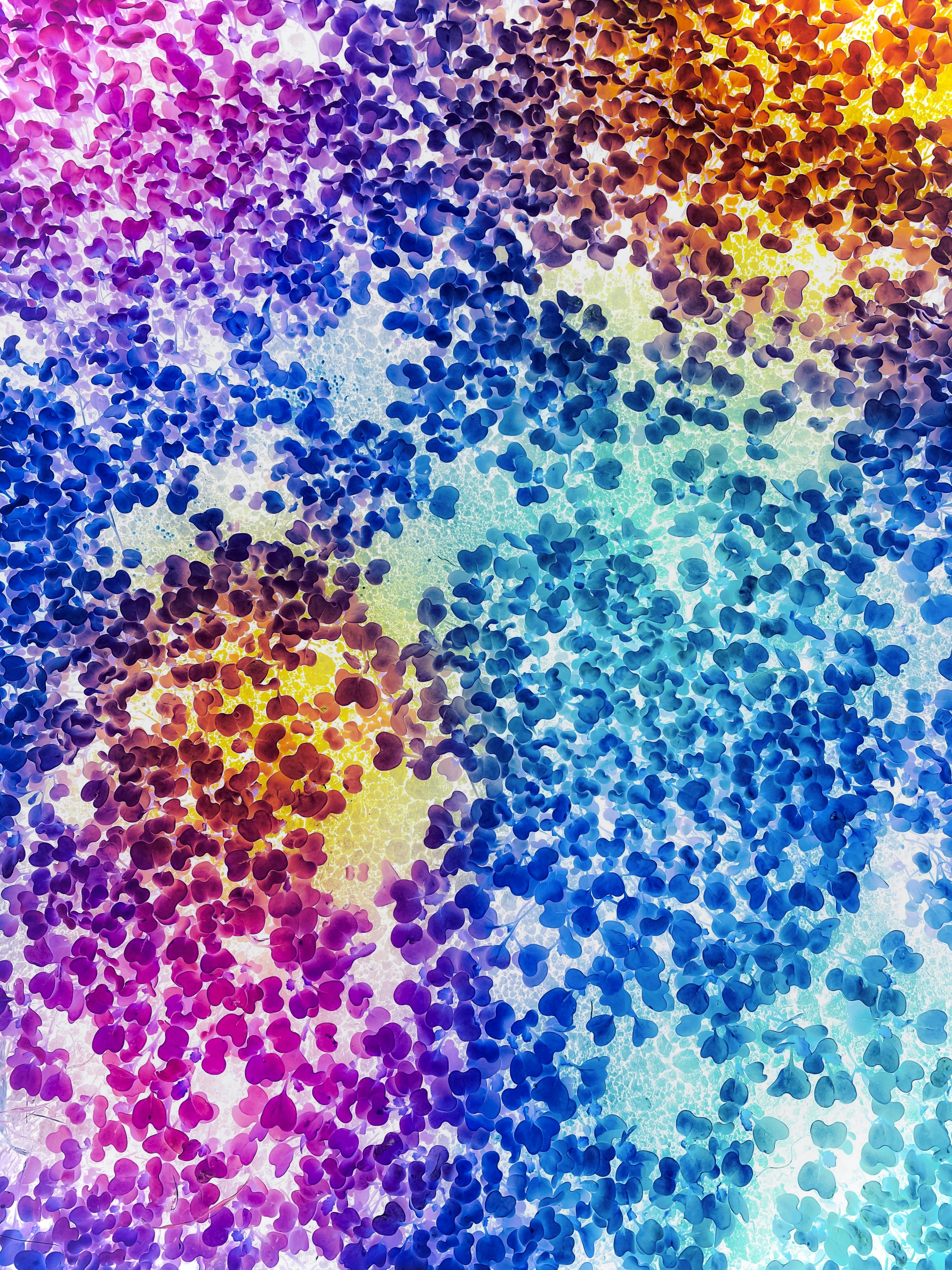 Photo by eugene_golovesov