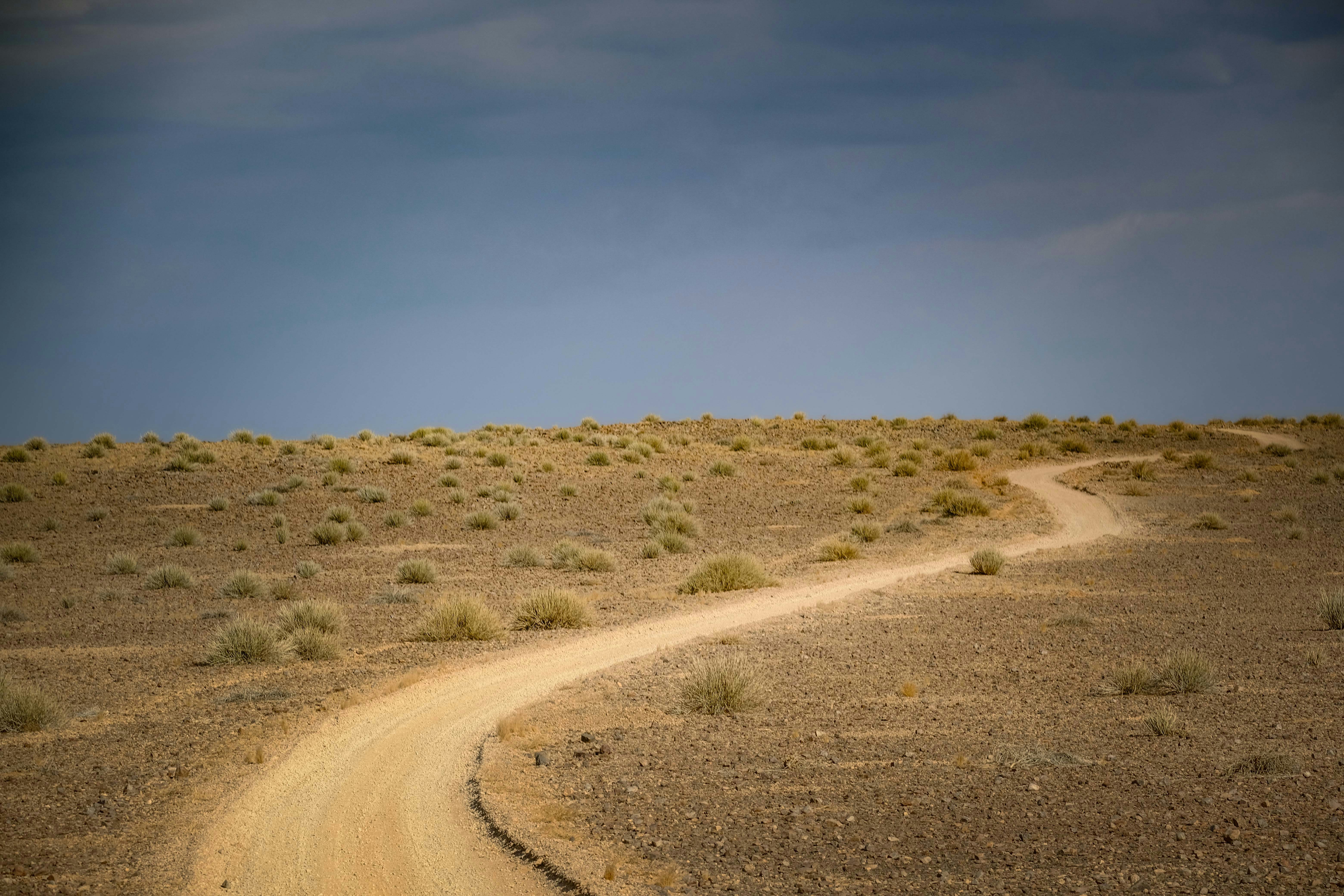 Photo by francesco_ungaro