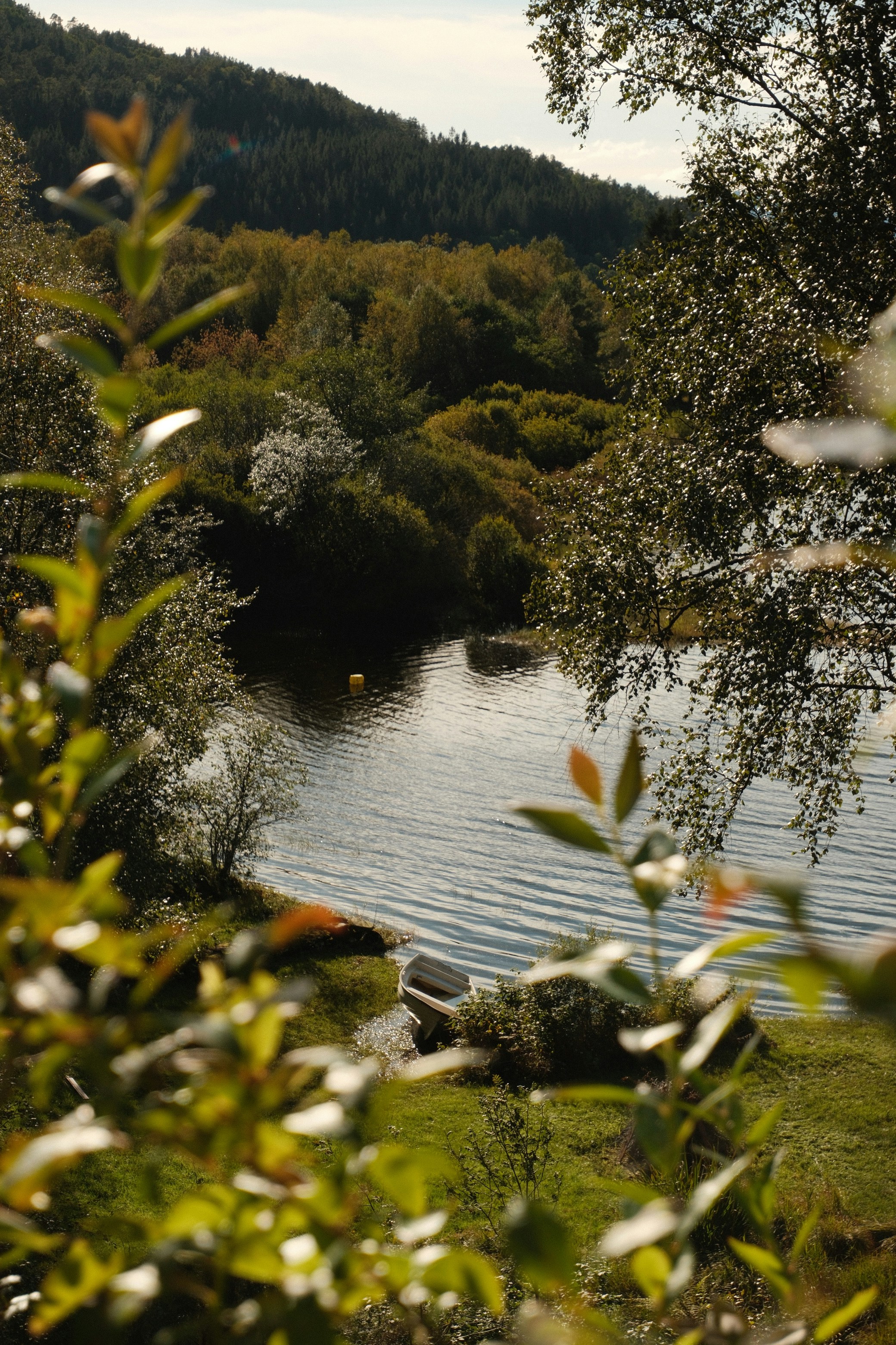 Photo by suphattratoemkrathok