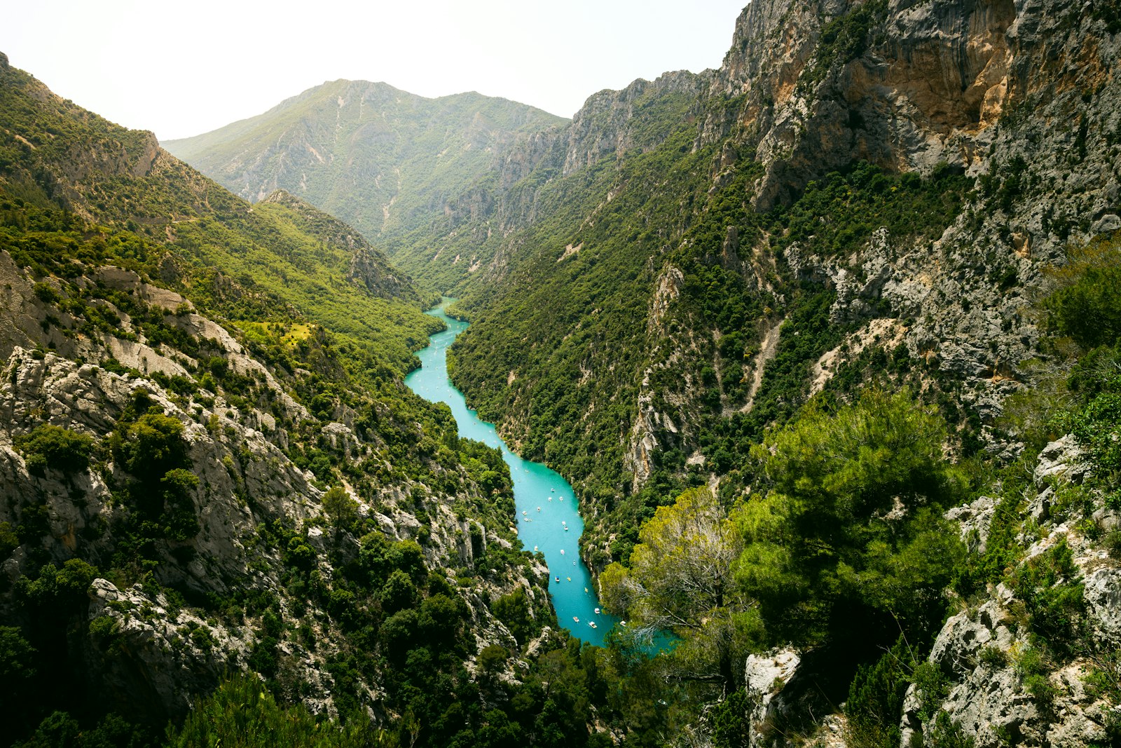 The turquoise Verdon River winding along the bottom of the steep, forested limestone walls of the Gorges du Verdon