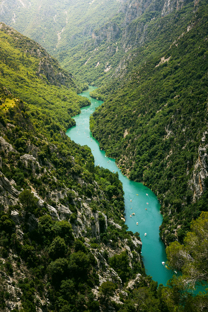 A river flowing through a lush green valley
