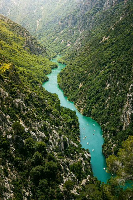 A river flowing through a lush green valley