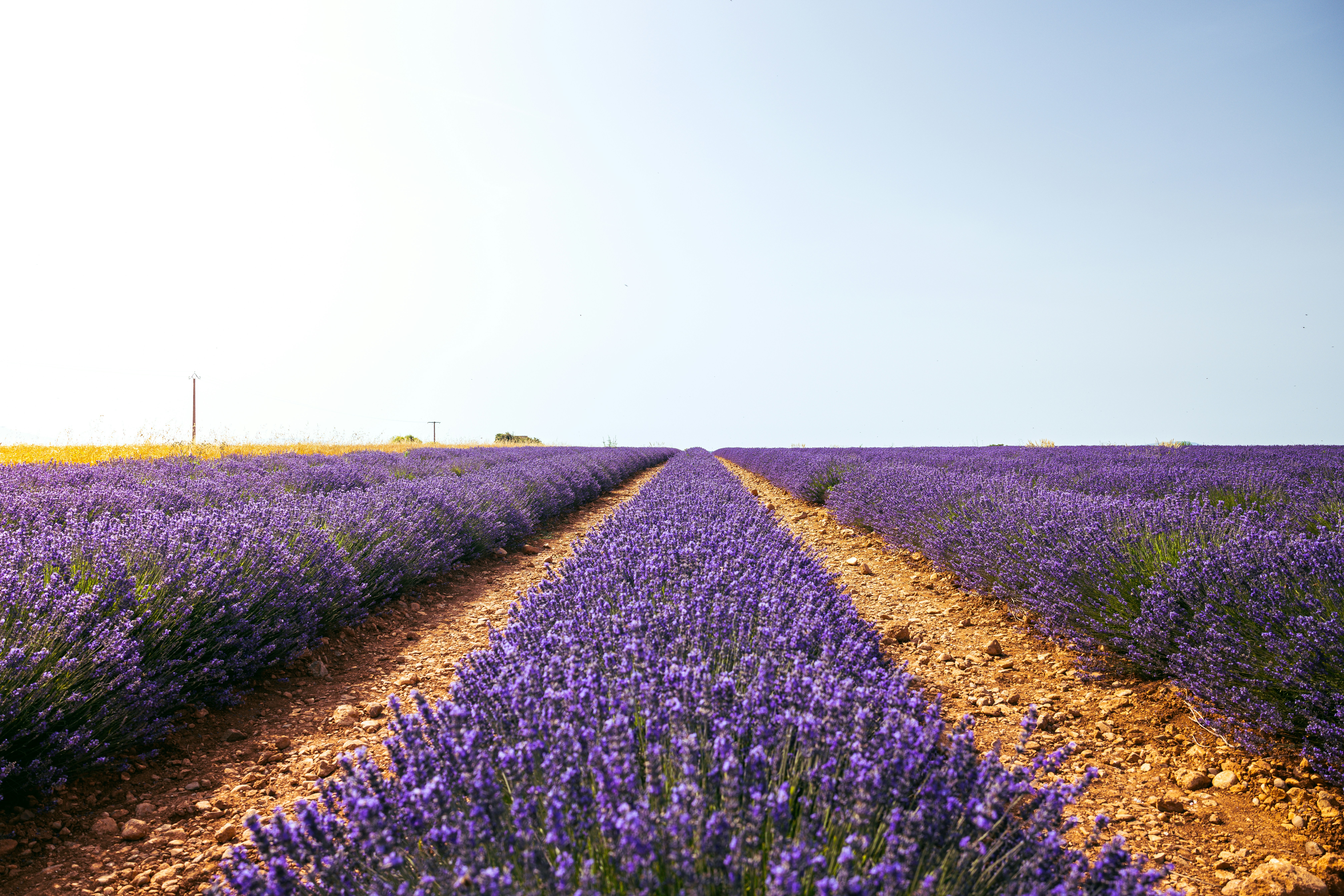 Photo by springsimon