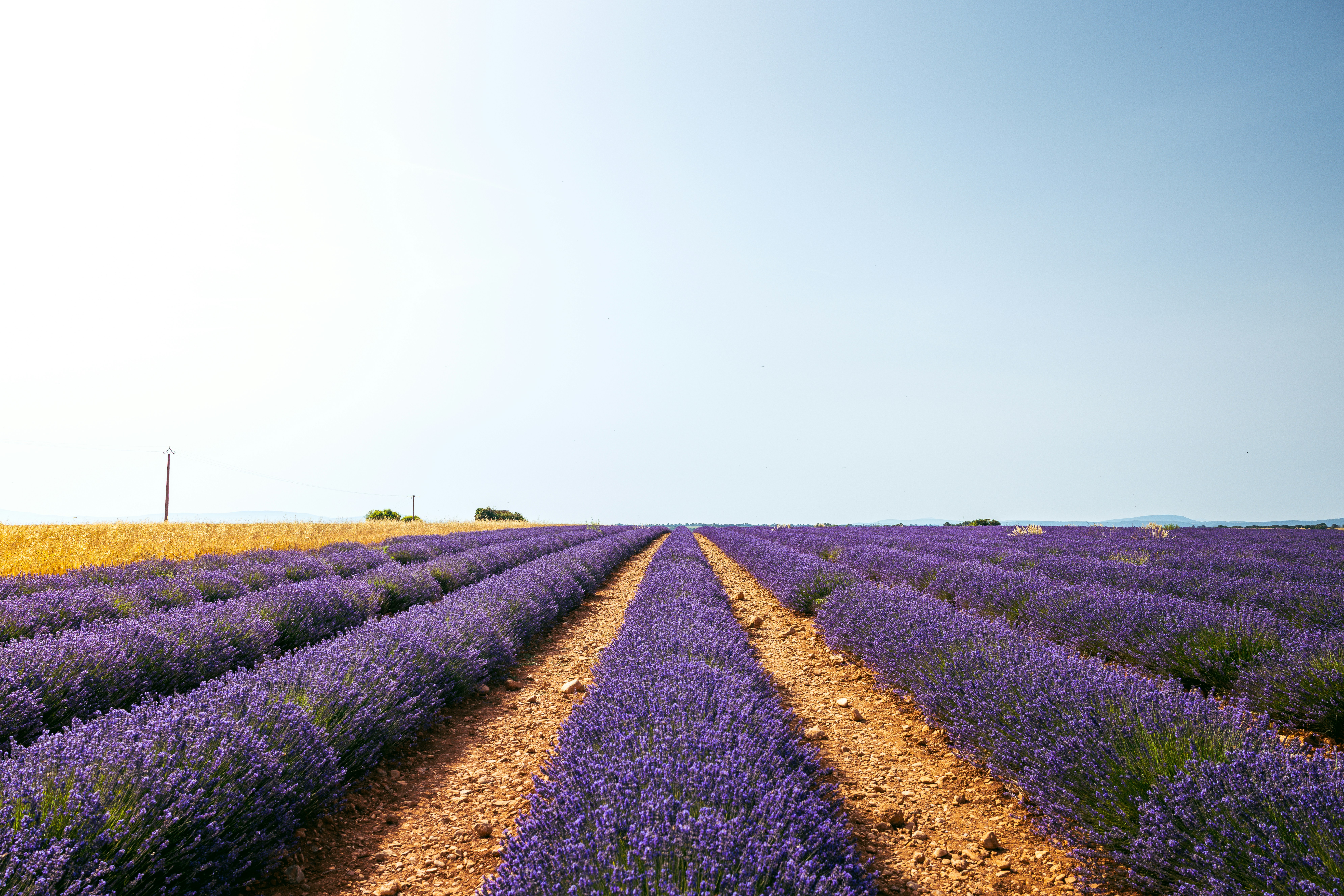 Photo by springsimon