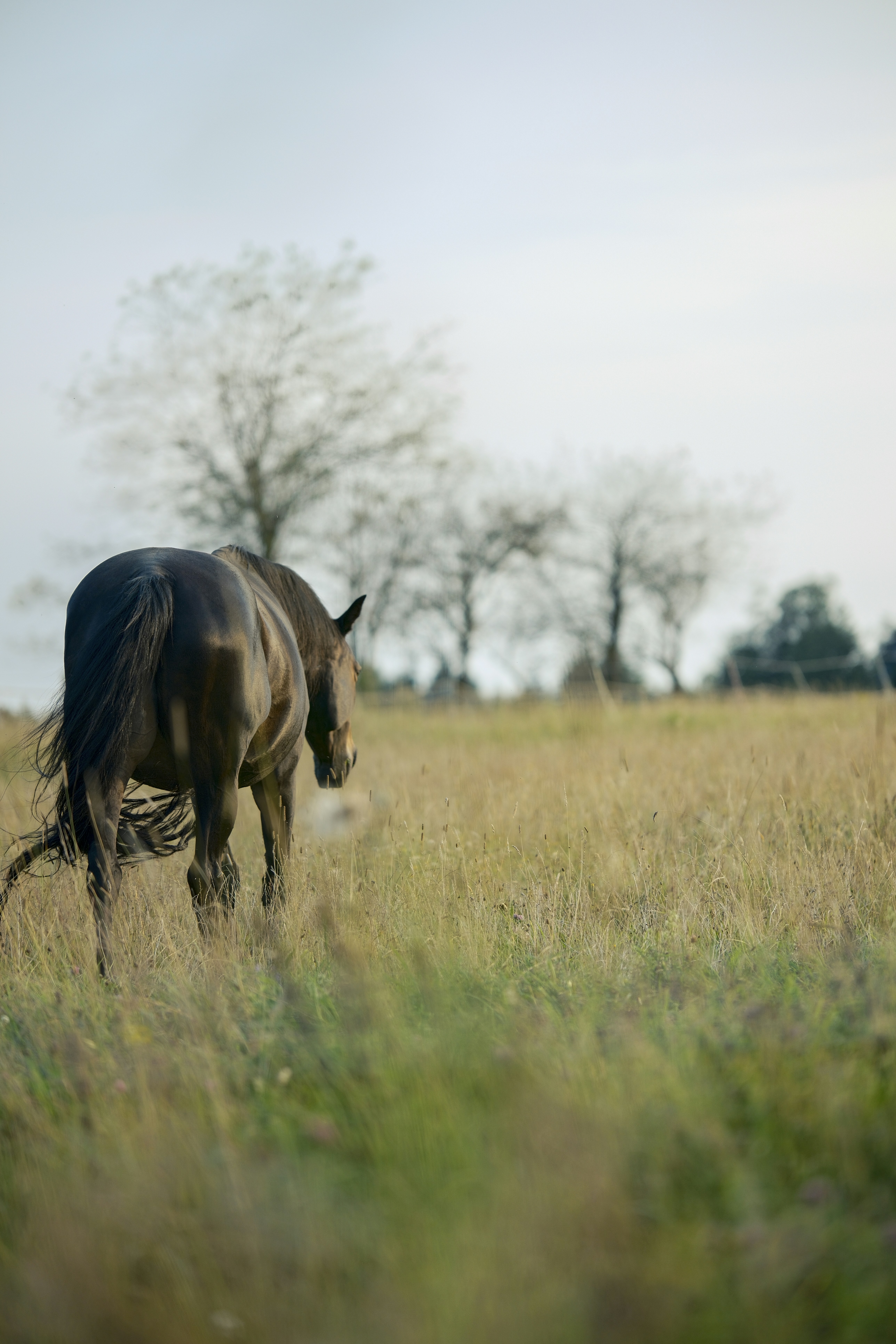 Photo by real_robster