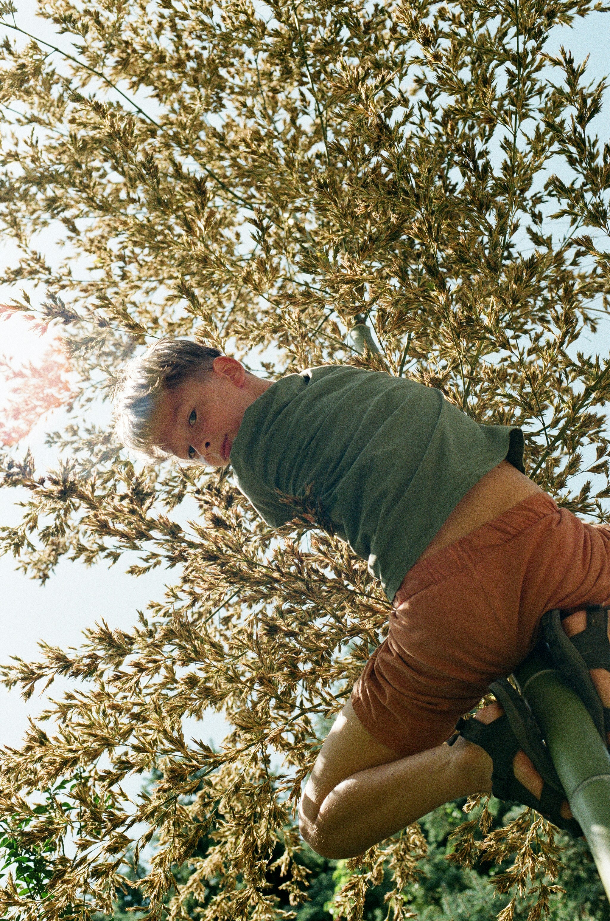 A man climbing up the side of a tree photo – Free Film photography ...