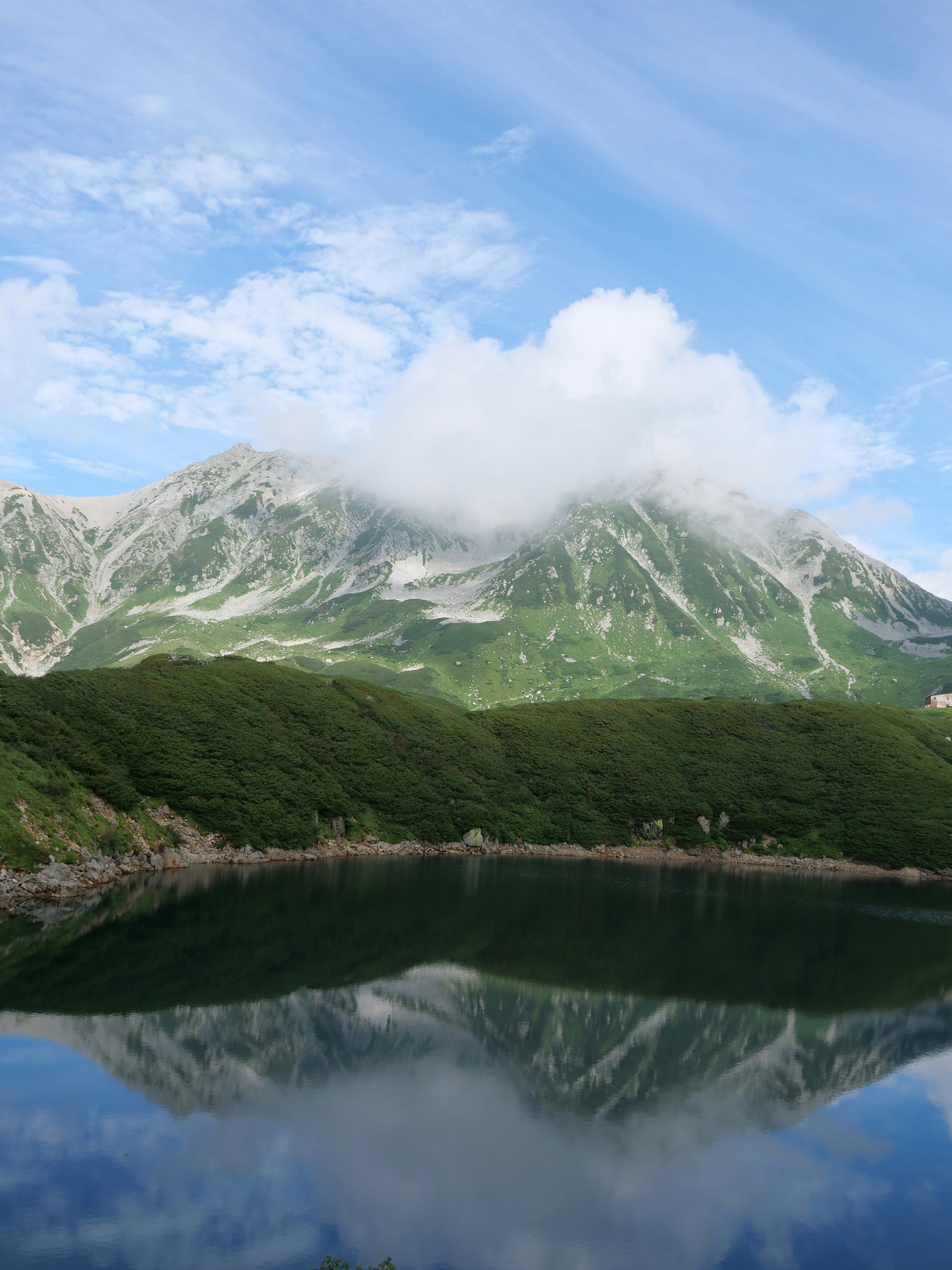 Photo by greendinosaur_com