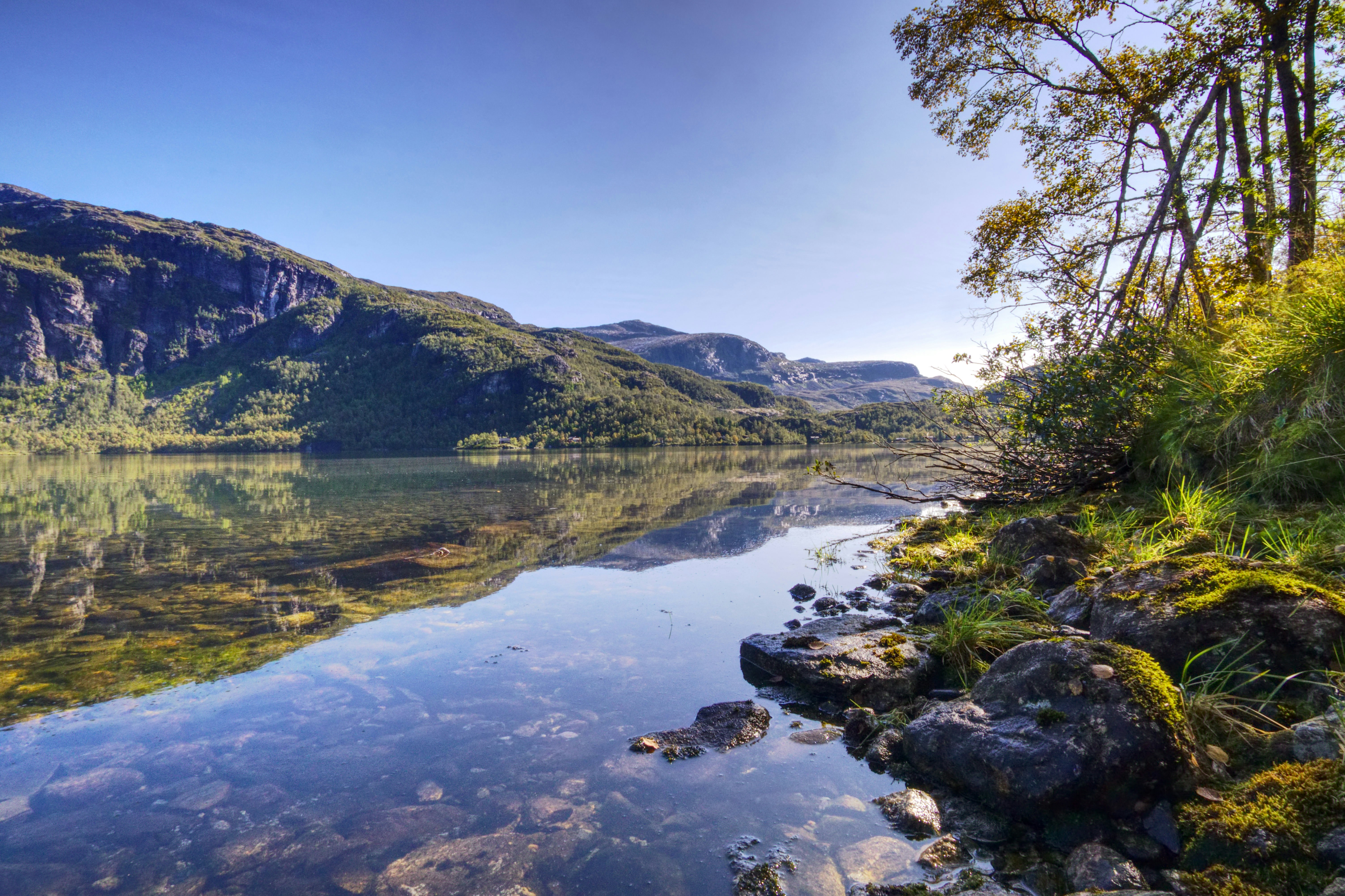 Photo by s_helmreich