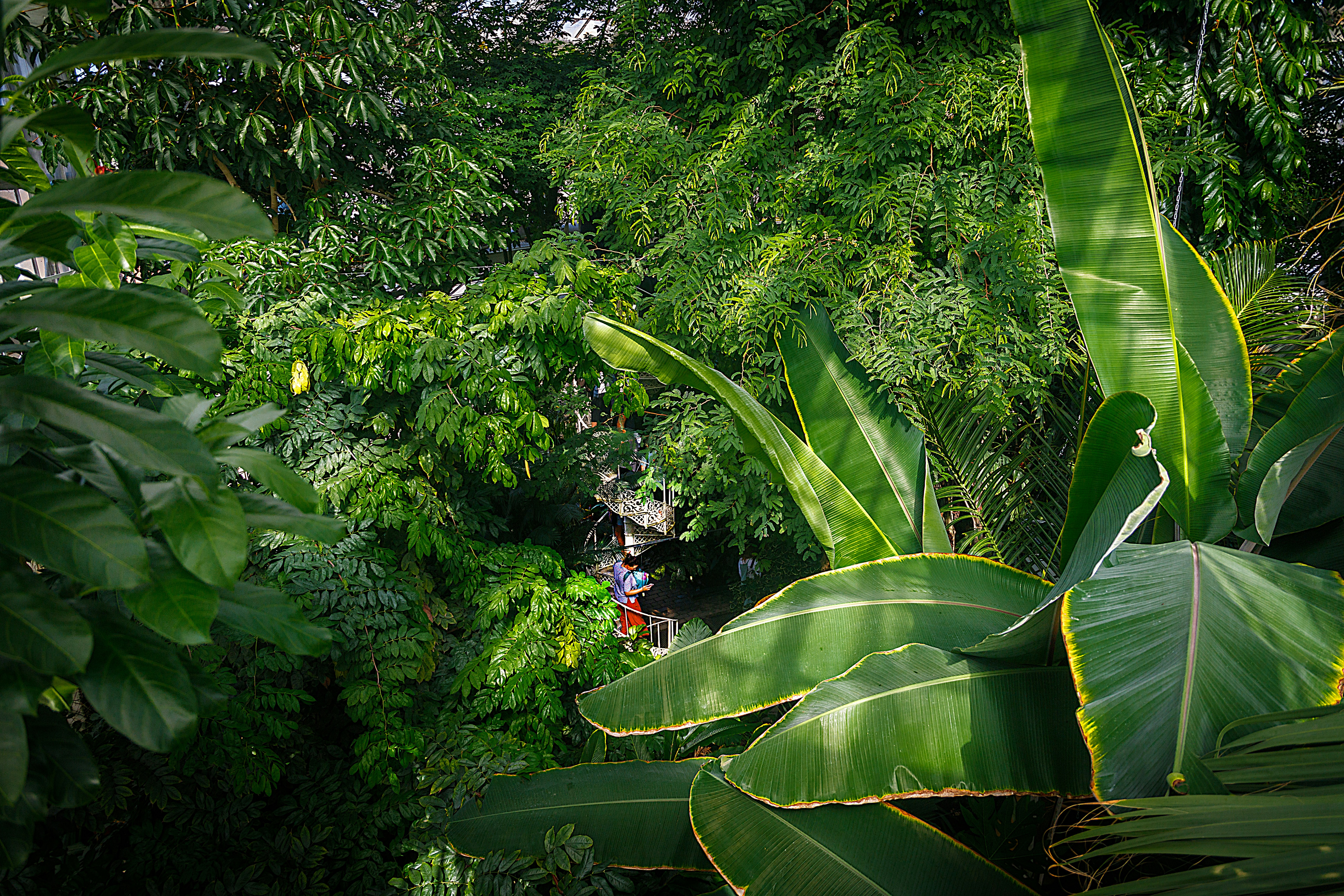 Photo by arizonanthony