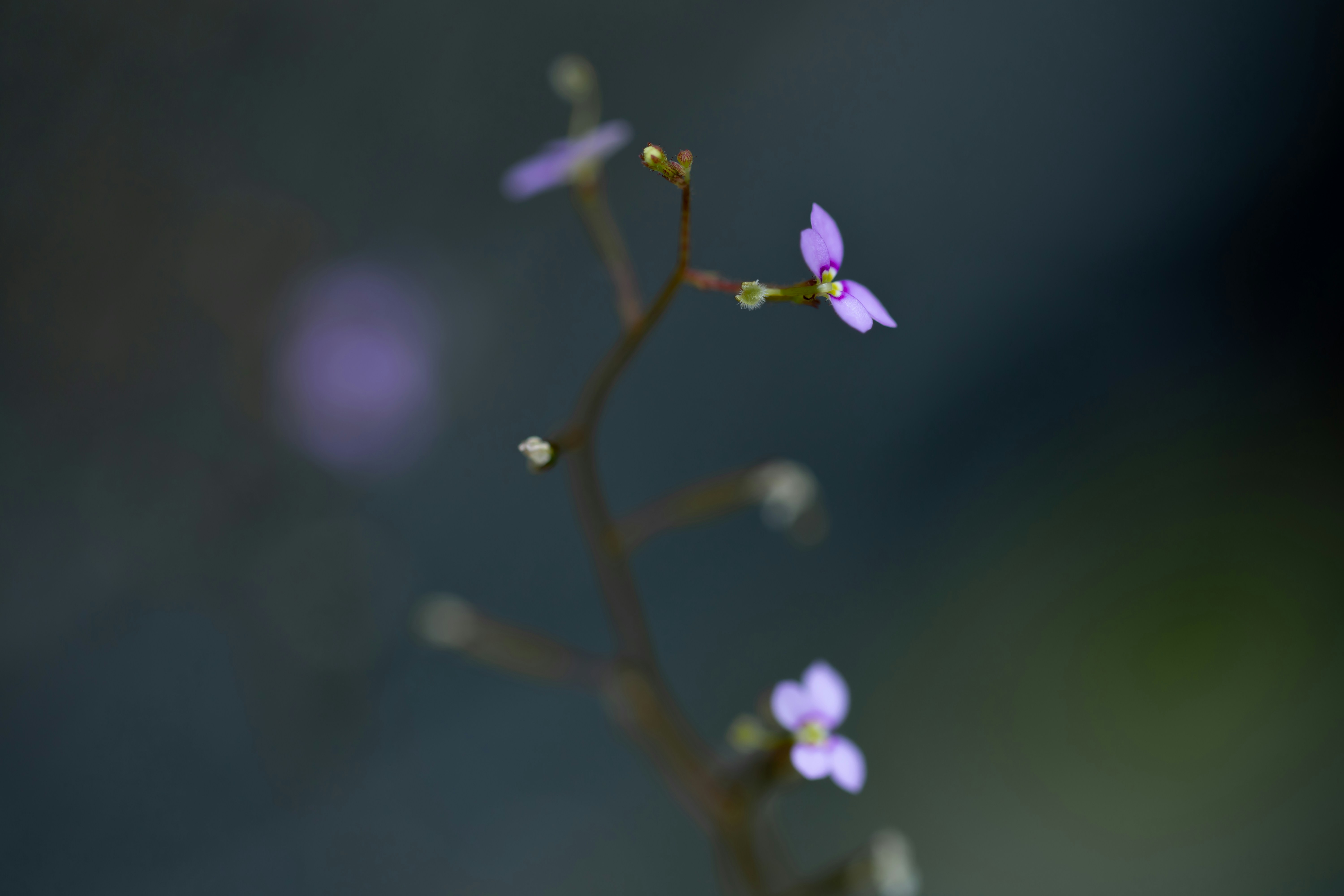 Photo by kamekichi_photos