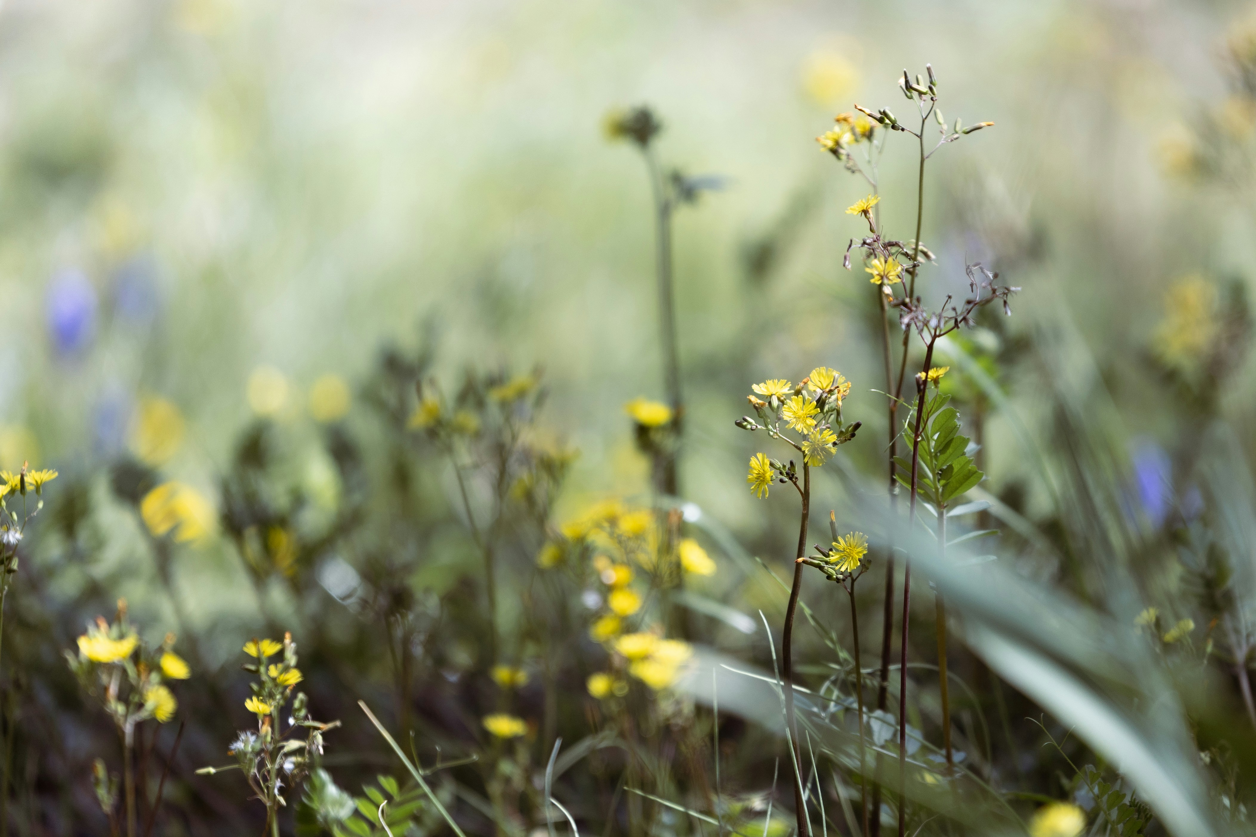 Photo by kamekichi_photos