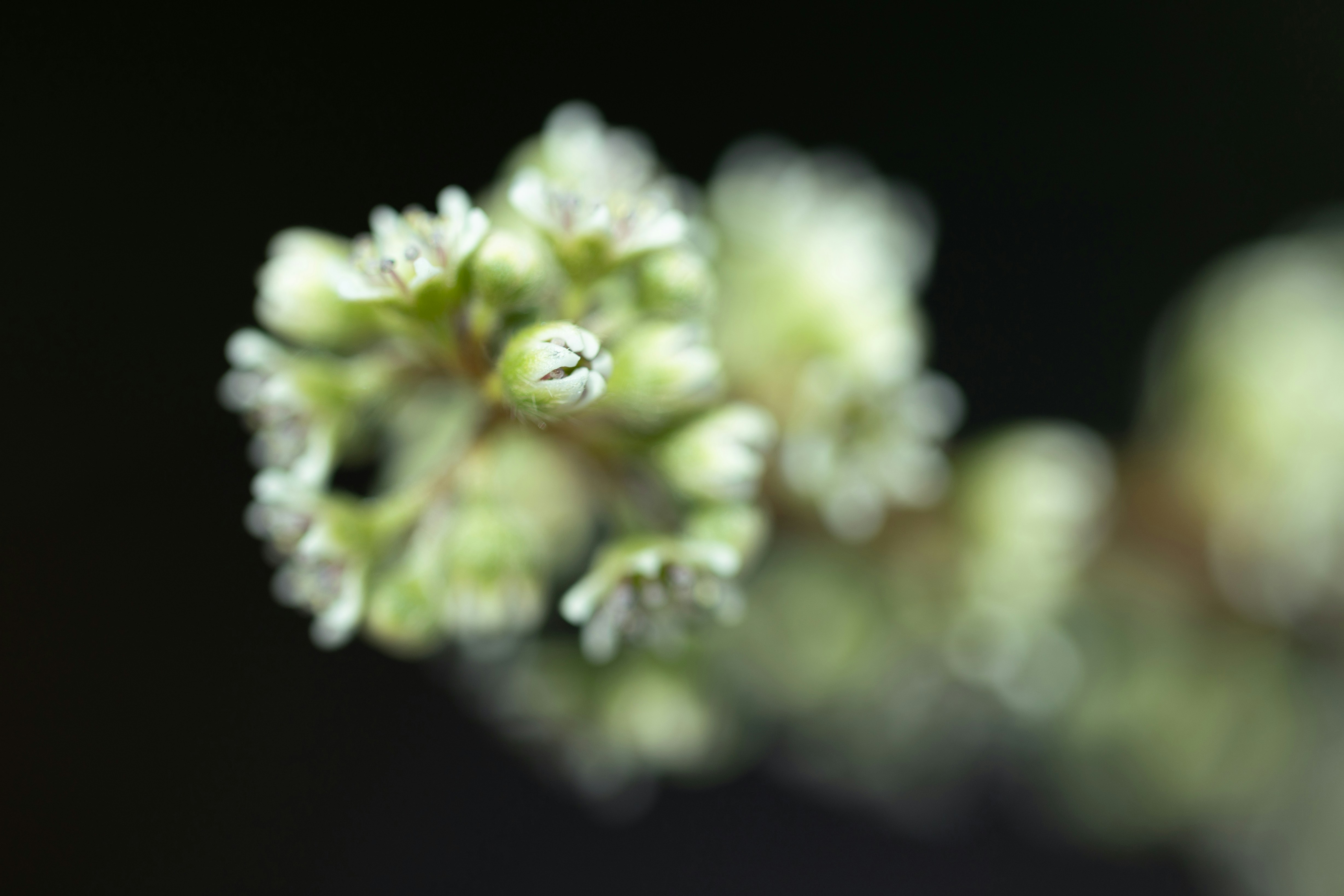 Photo by kamekichi_photos