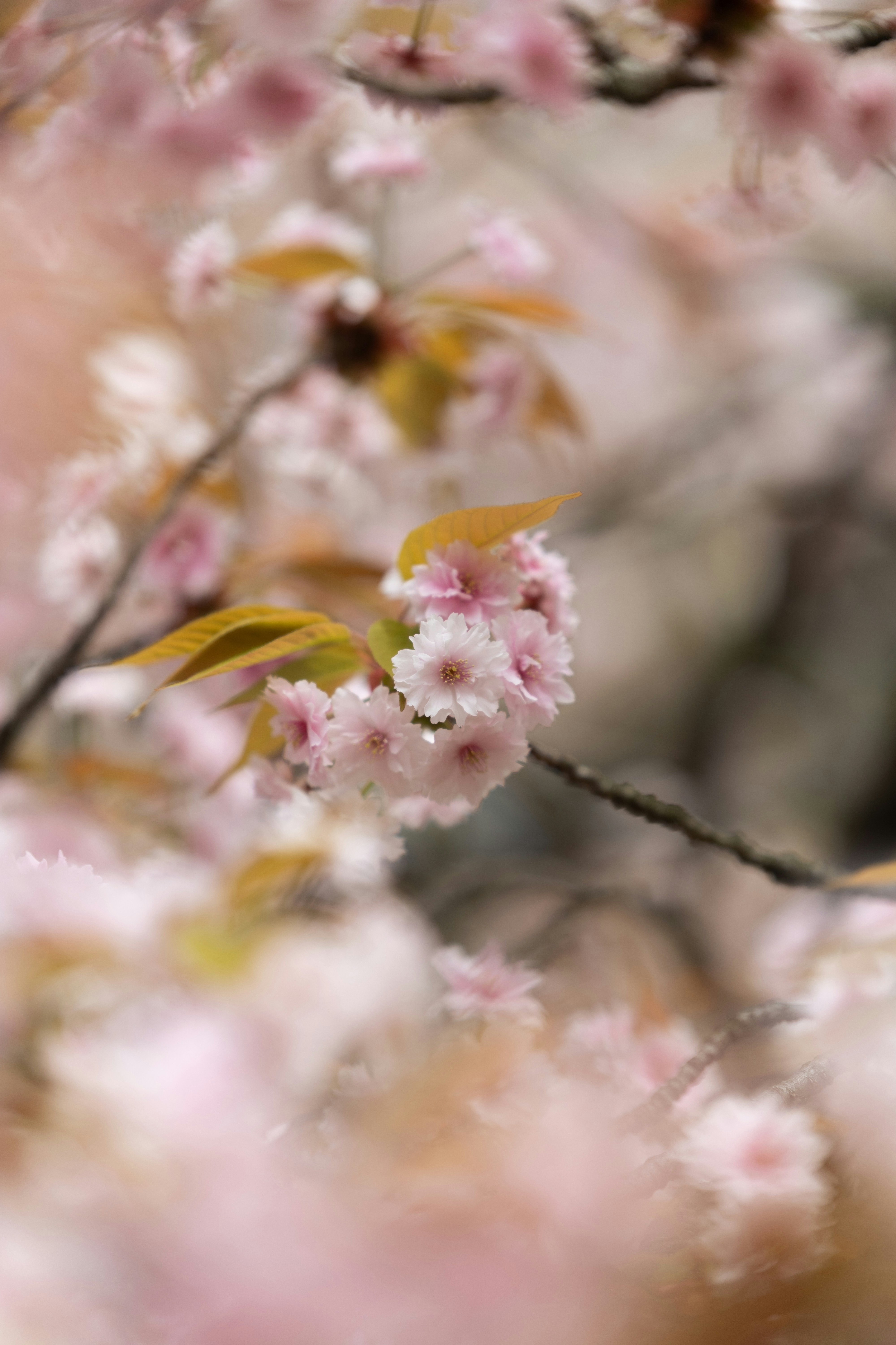 Photo by kamekichi_photos