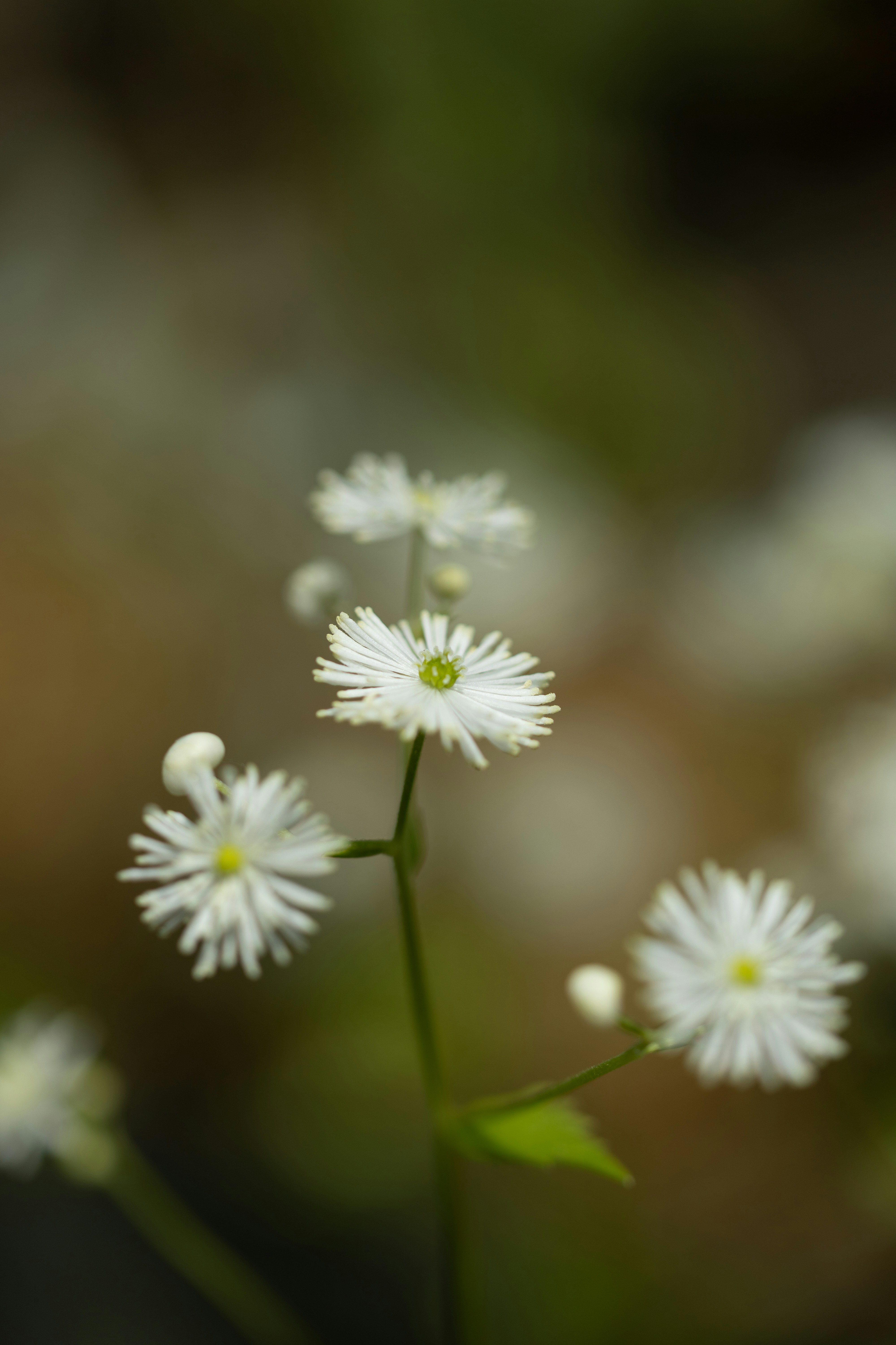 Photo by kamekichi_photos