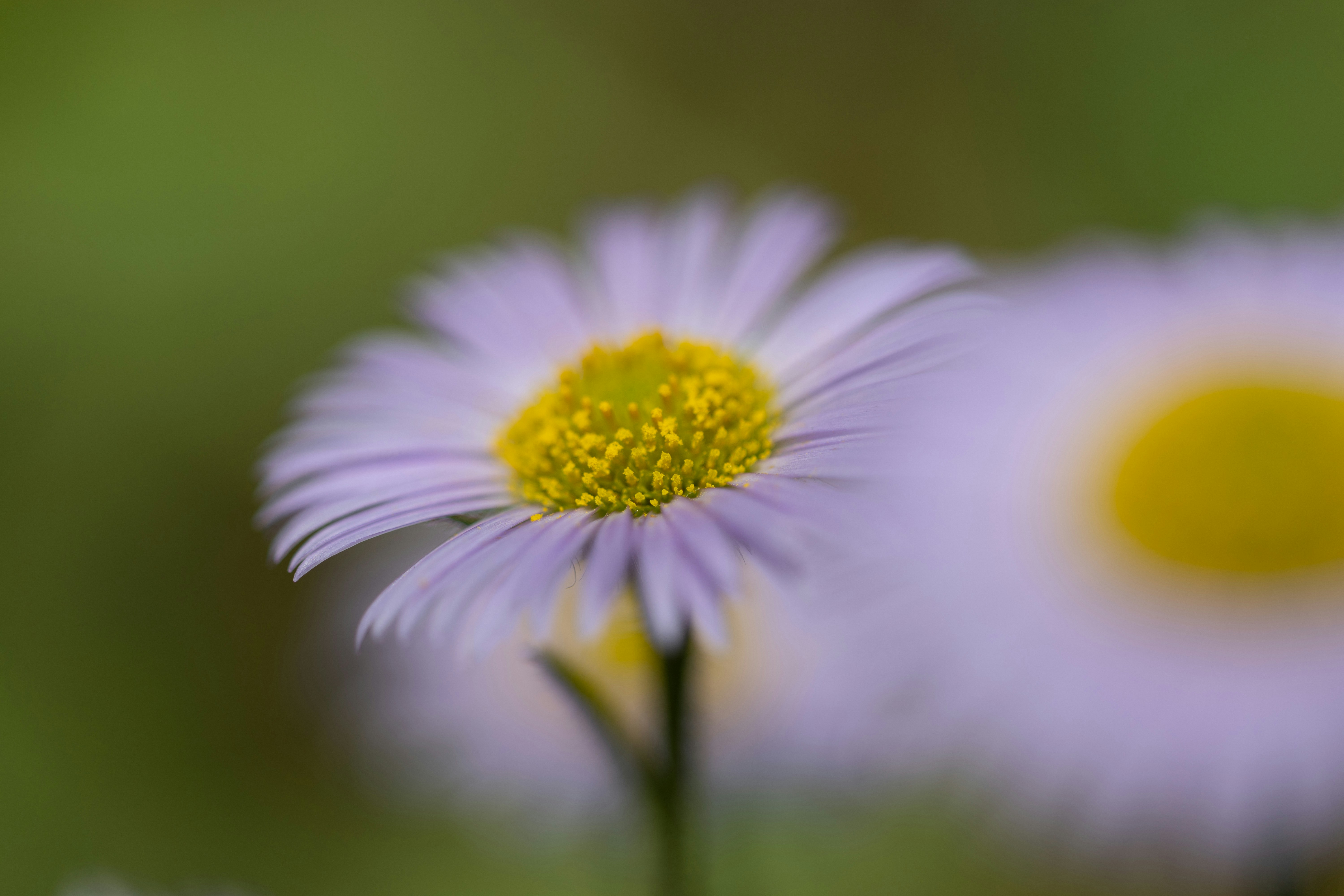 Photo by kamekichi_photos