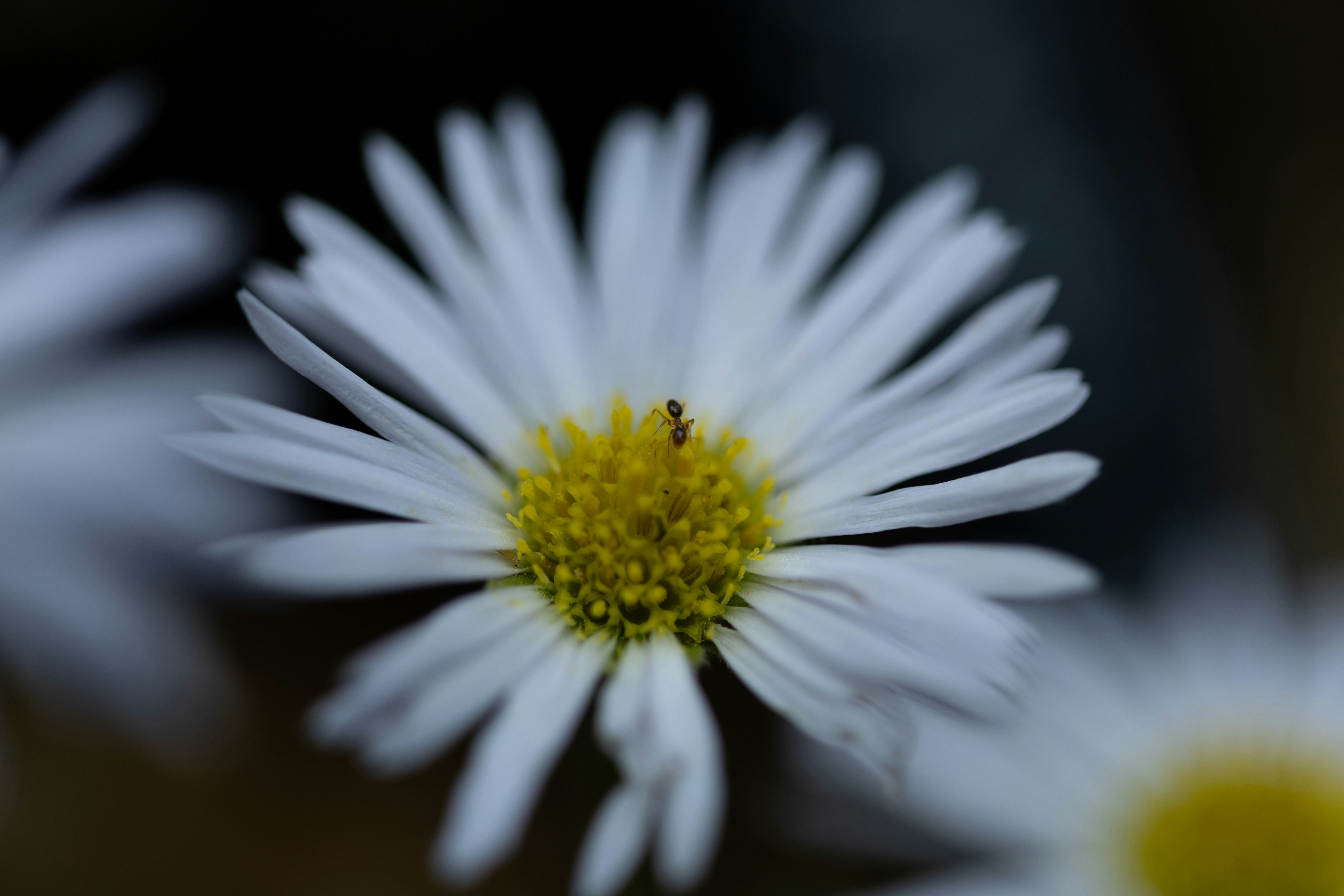 Photo by kamekichi_photos