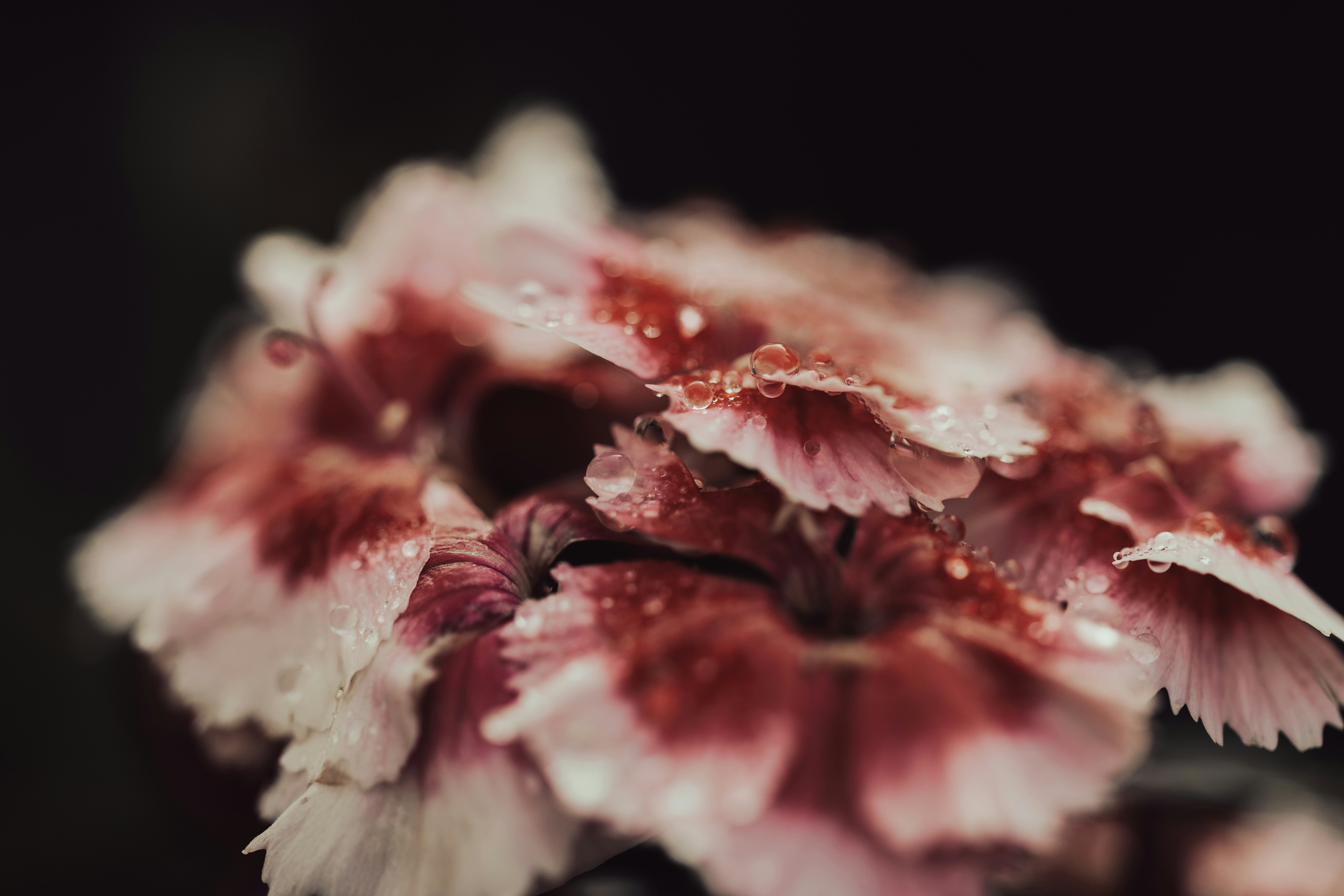 Photo by kamekichi_photos