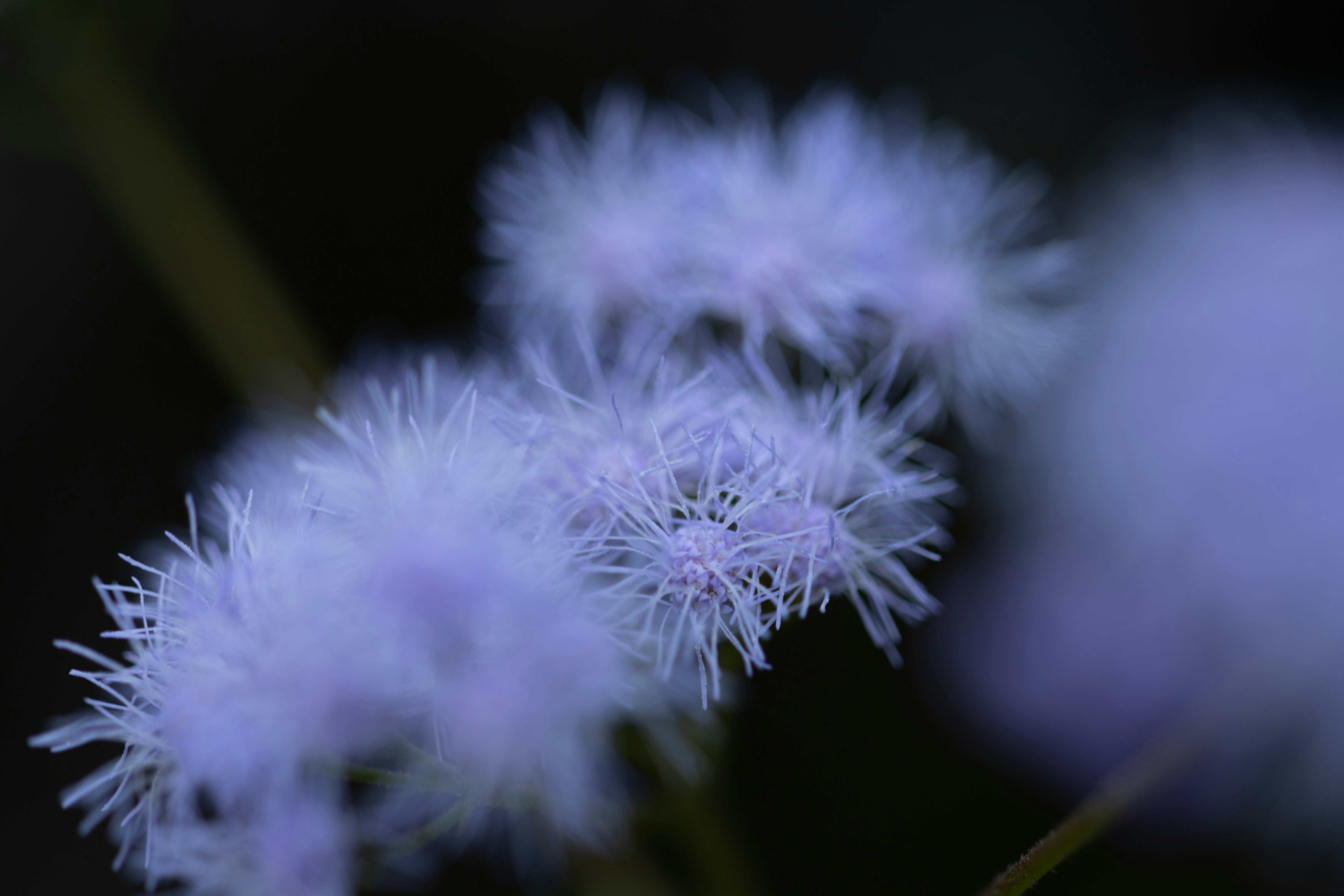 Photo by kamekichi_photos