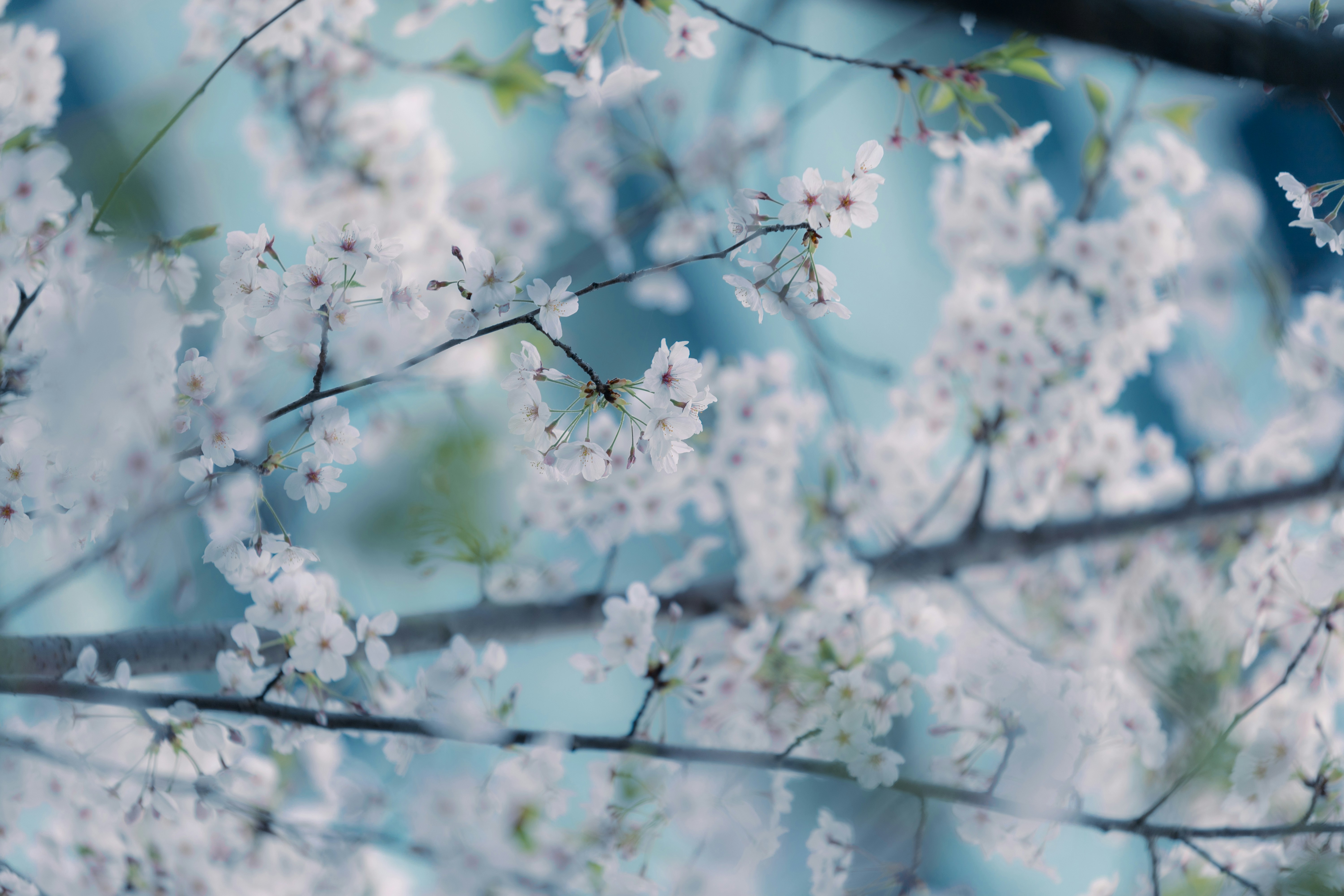 Photo by kamekichi_photos