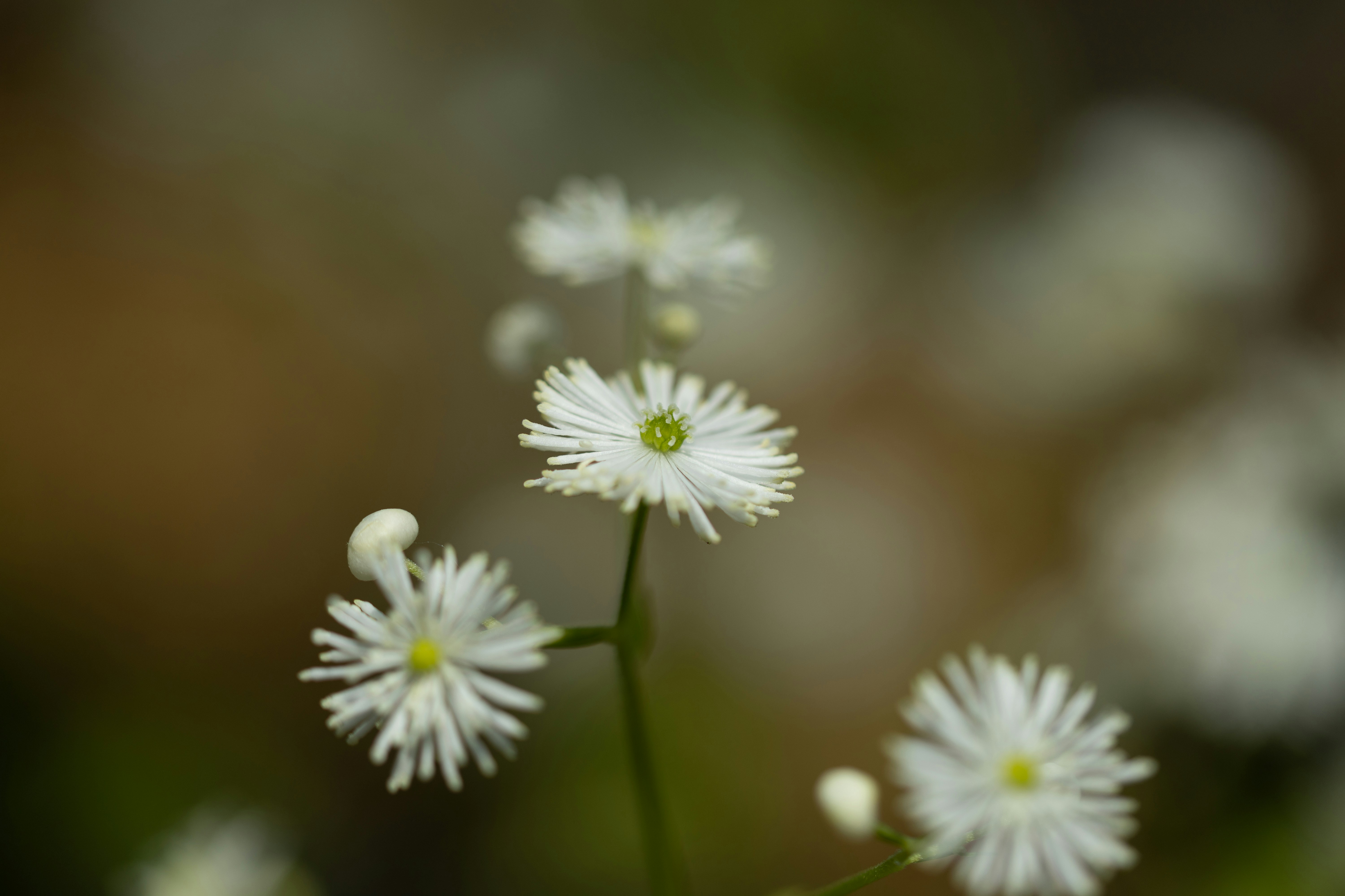 Photo by kamekichi_photos