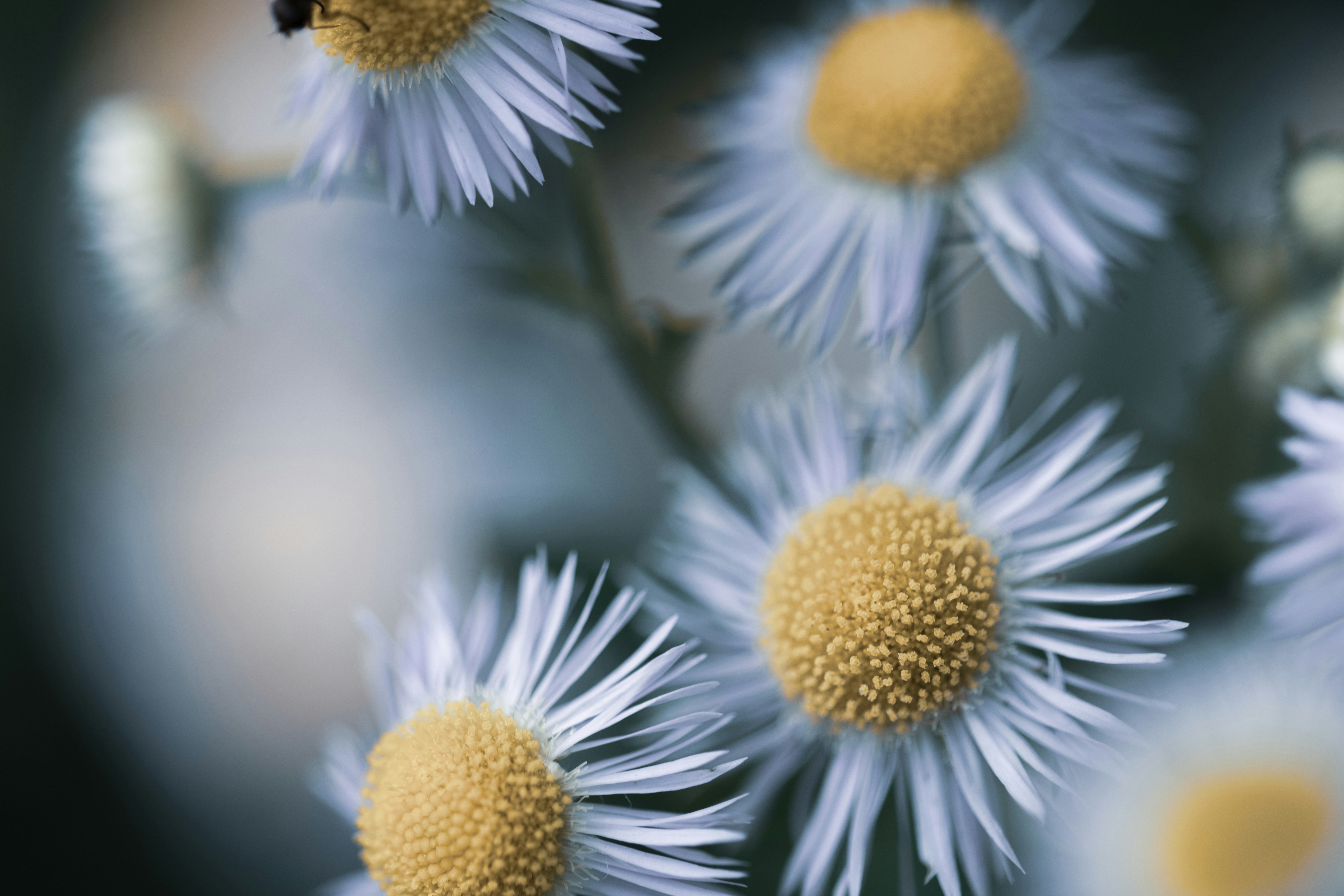 Photo by kamekichi_photos