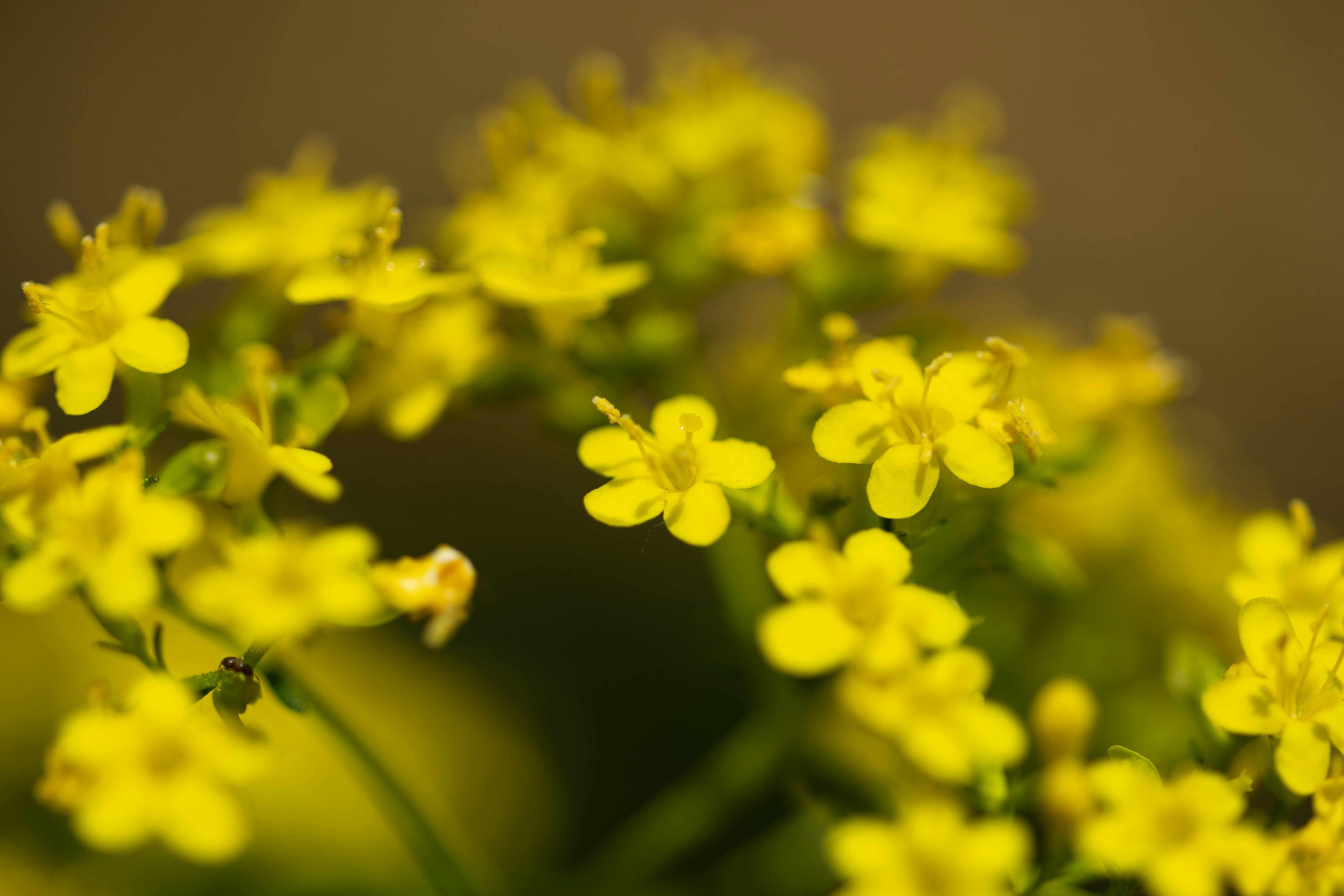 Photo by kamekichi_photos