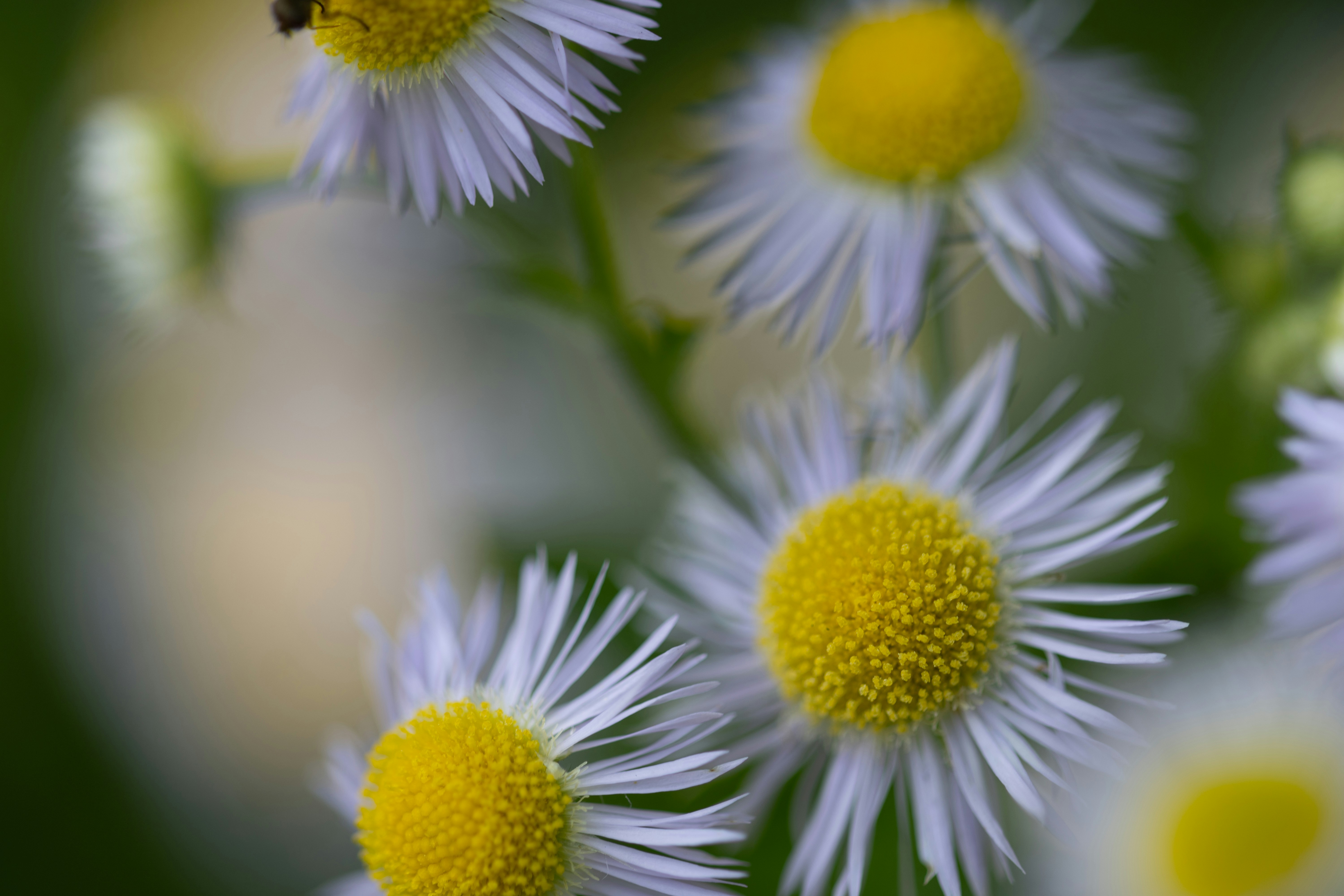 Photo by kamekichi_photos