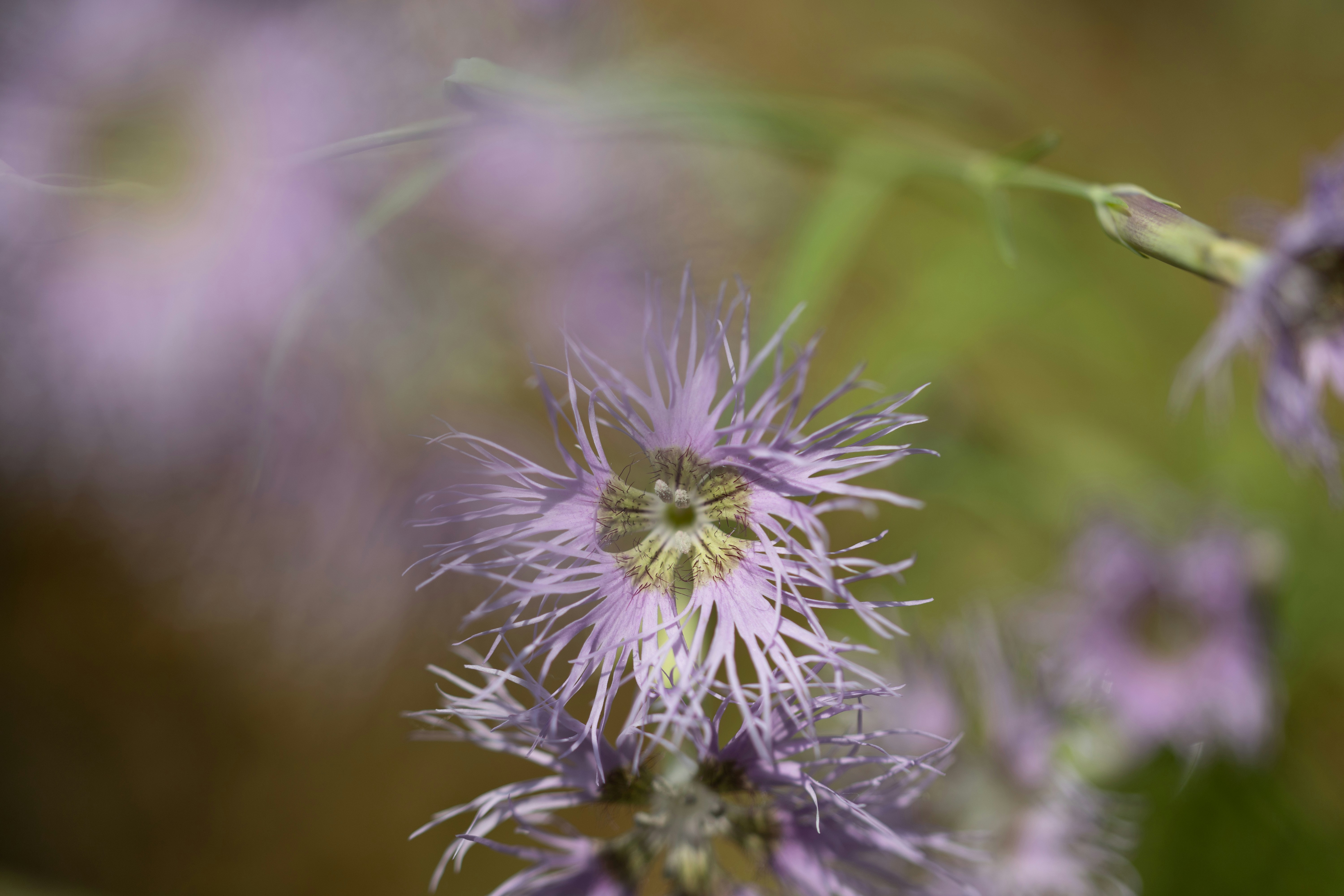 Photo by kamekichi_photos