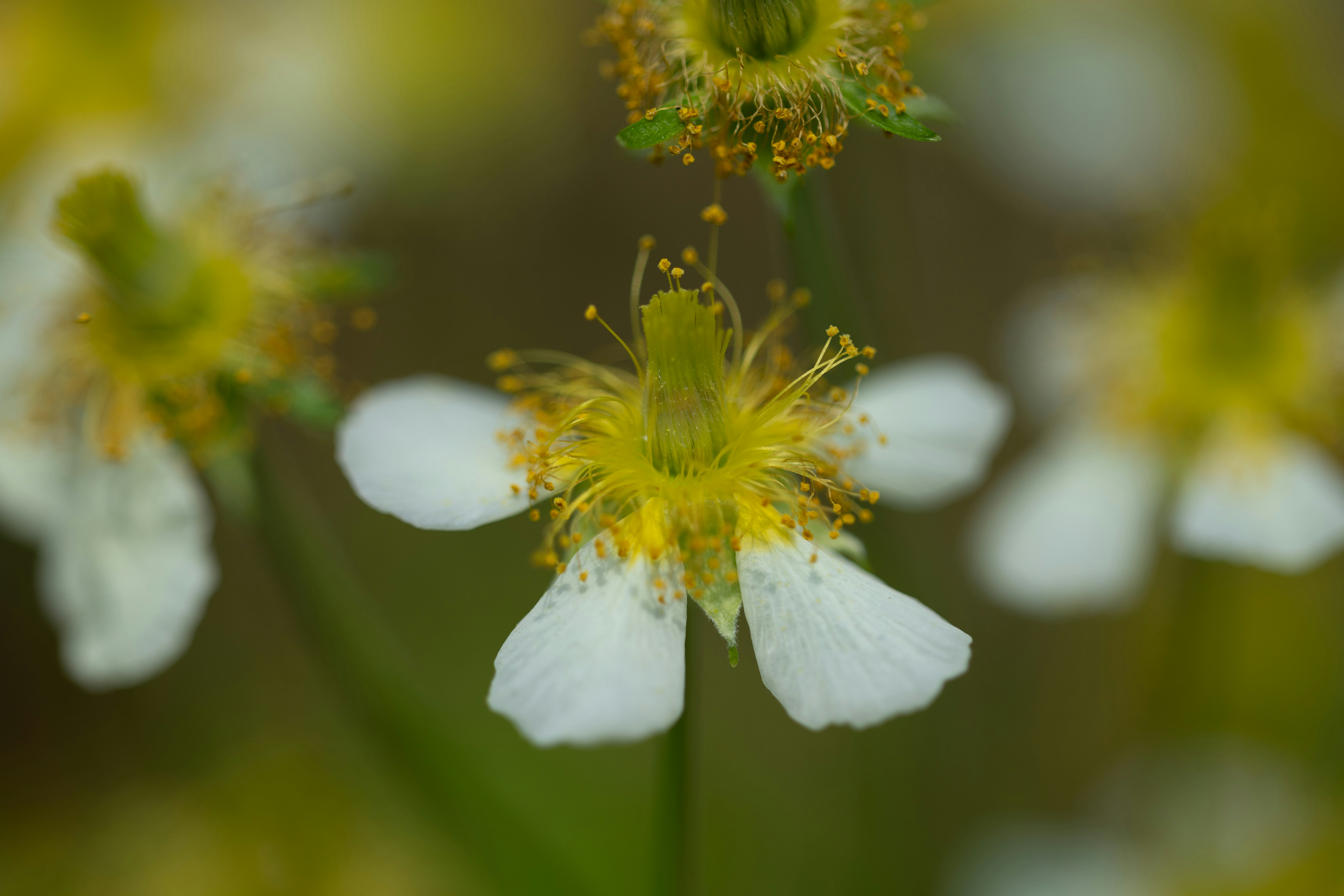 Photo by kamekichi_photos