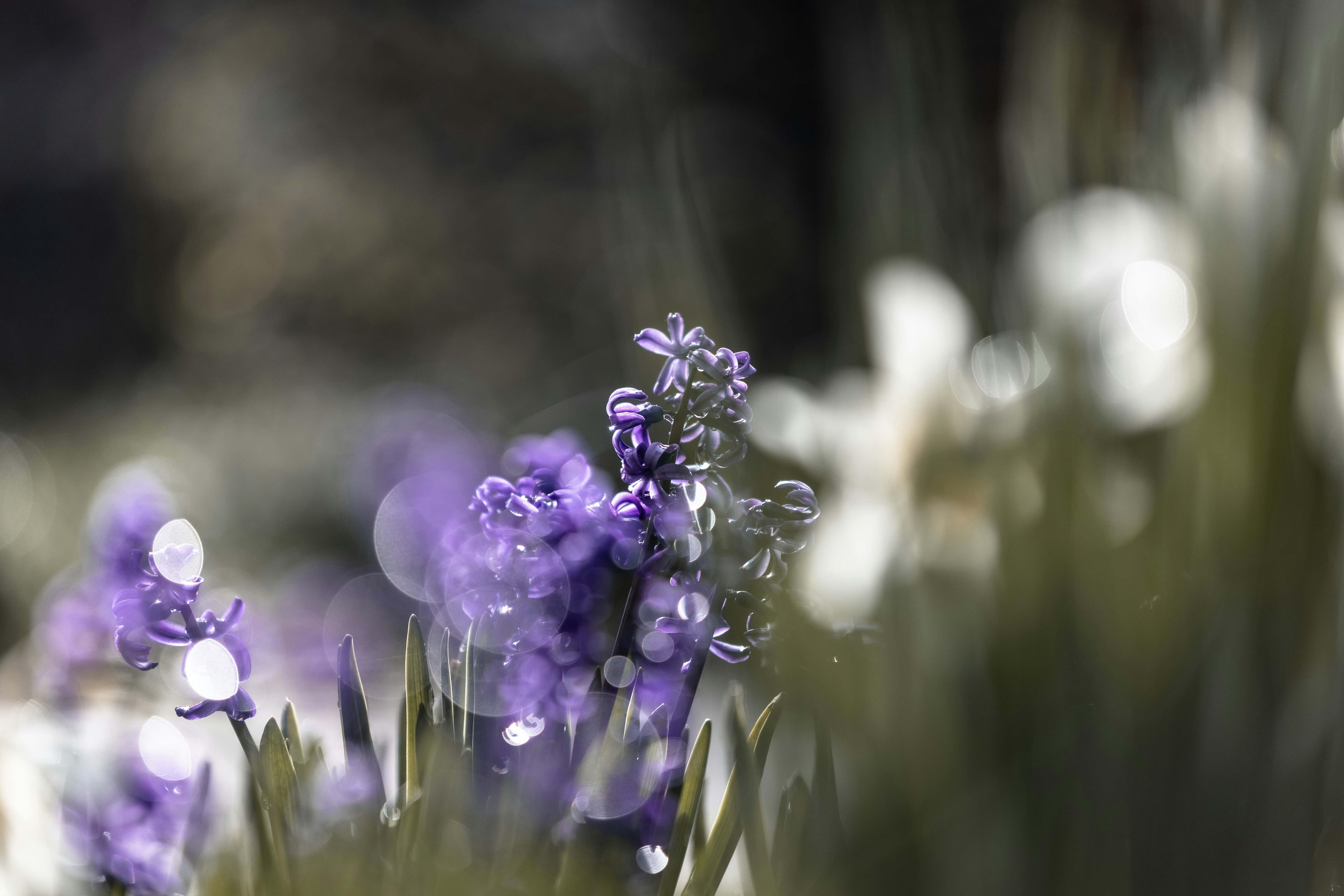 Photo by kamekichi_photos