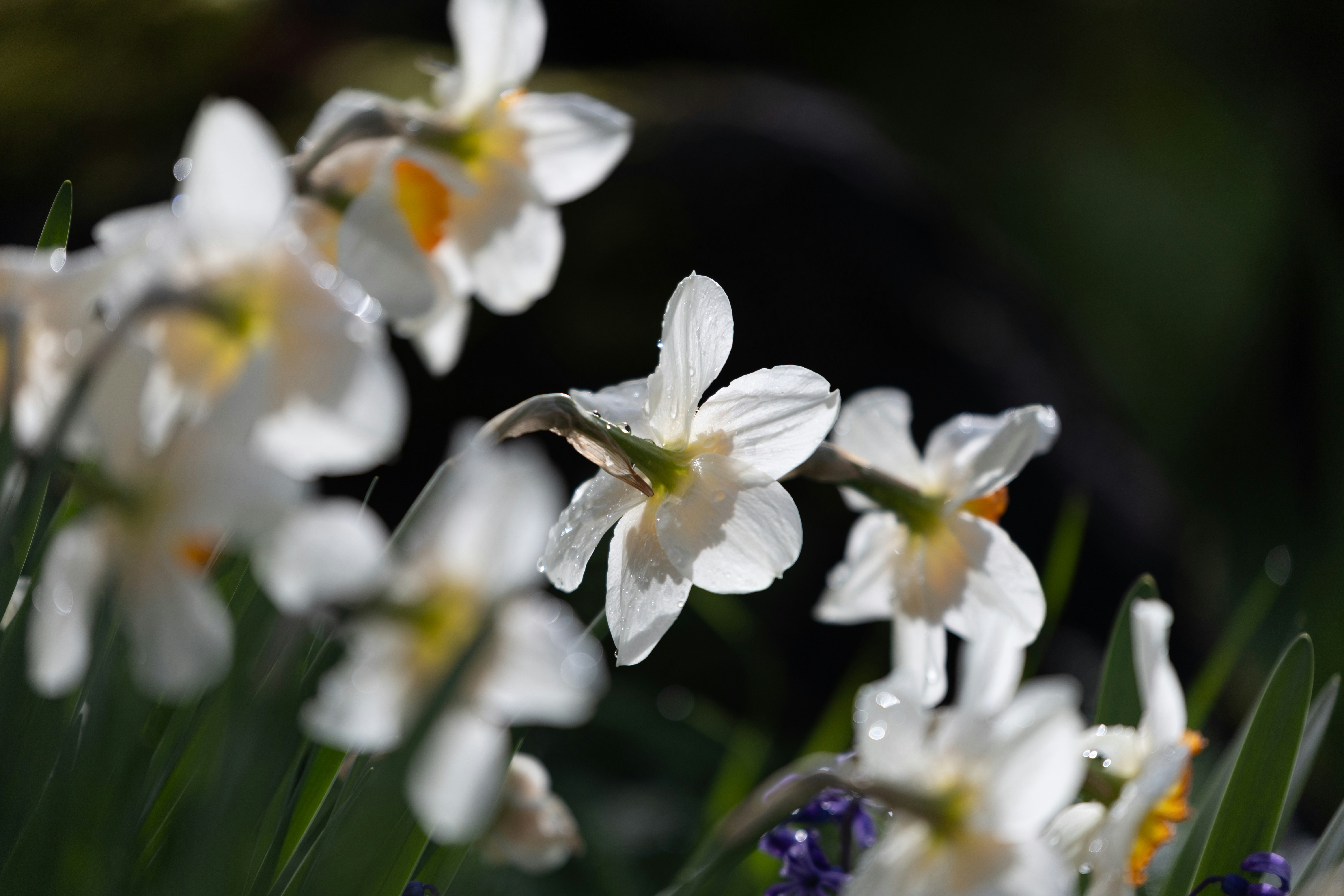 Photo by kamekichi_photos